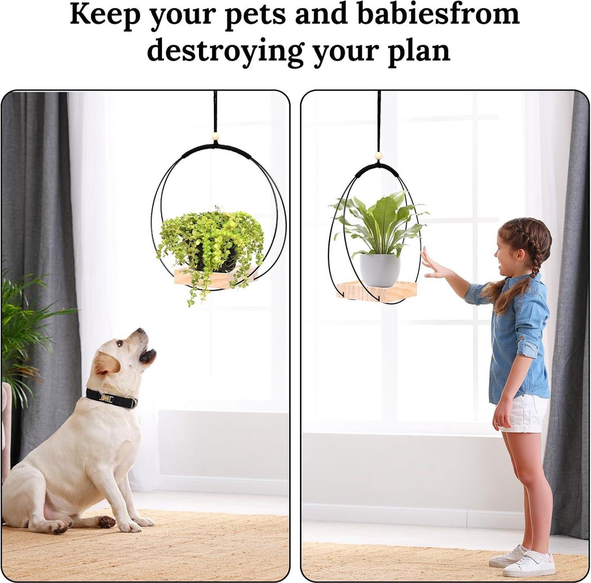 Hanging Planters - 2 Sumotia Planters with Wooden Base, Metal Ring and Hanging Loop - Round Black Planters for Indoors, Walls and Ceilings