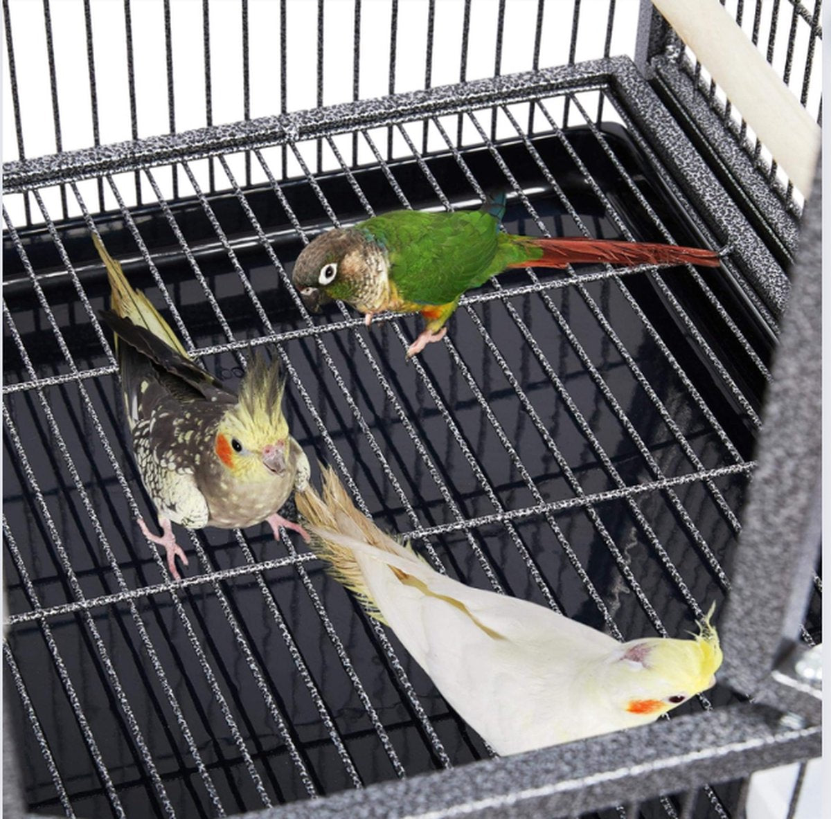 Vogelkooi - Vogelkooien Voor Binnen & Buiten - Volière - Kooi - Kanaries - Parkieten - Vogelhuis