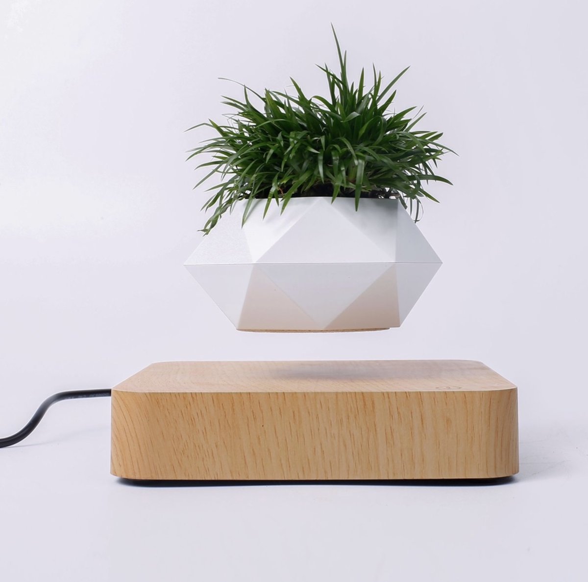 Floating flower pot - Floating plant - Magnetic - Indoor flower pot - Modern decoration - Light brown base