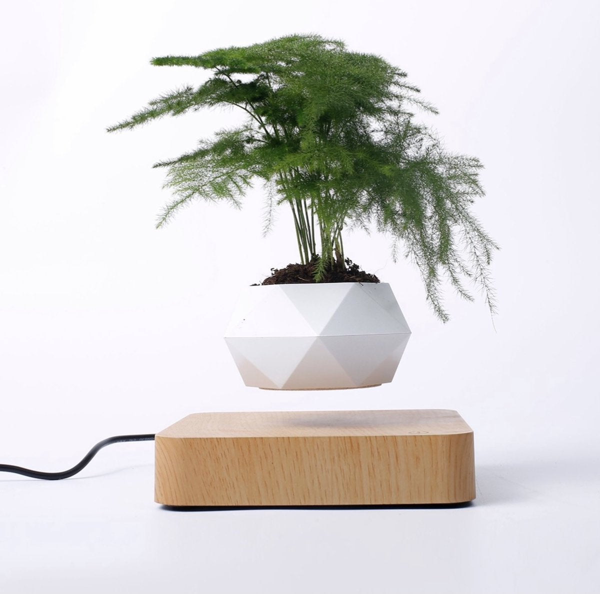 Floating flower pot - Floating plant - Magnetic - Indoor flower pot - Modern decoration - Light brown base