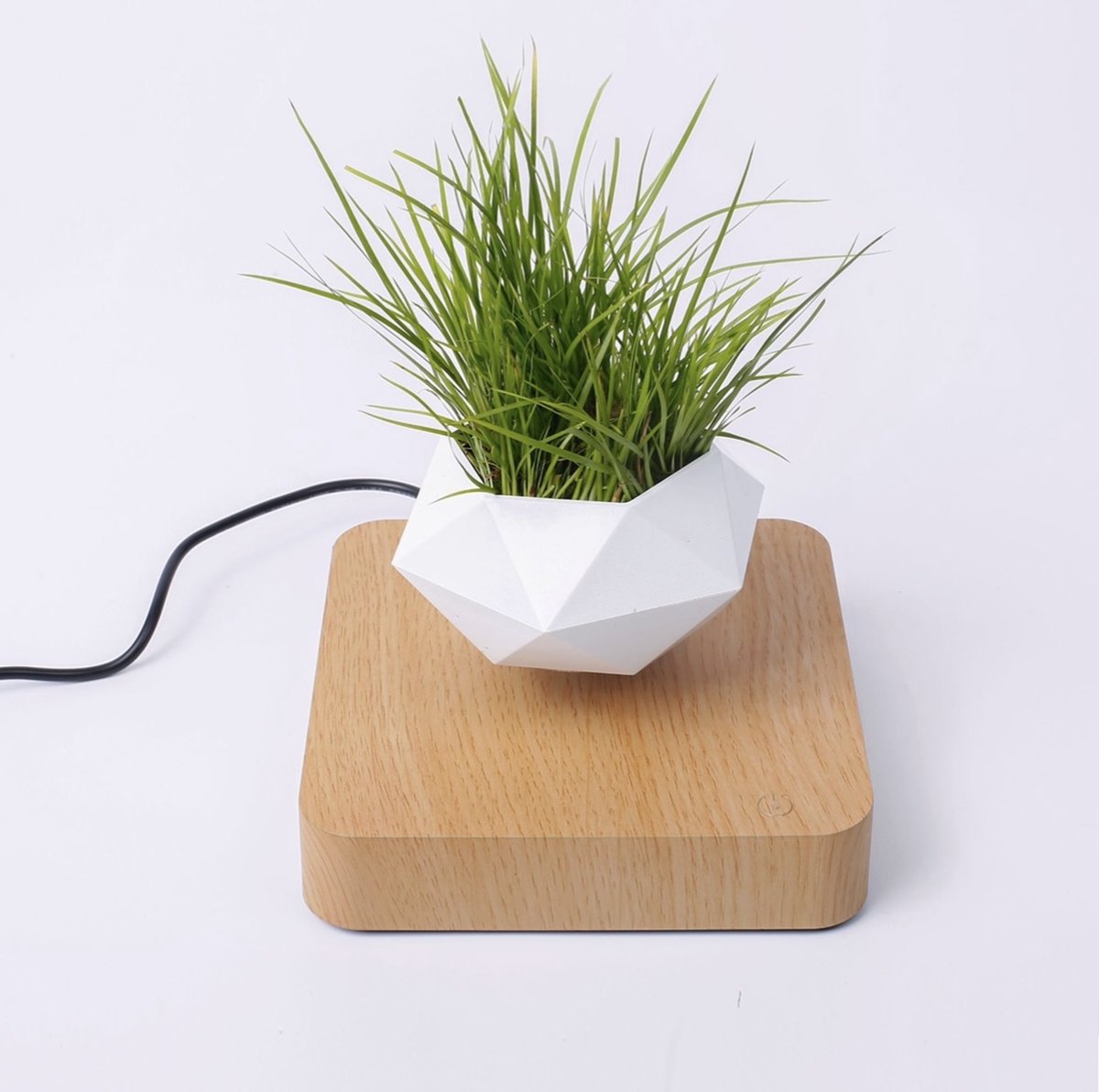 Floating flower pot - Floating plant - Magnetic - Indoor flower pot - Modern decoration - Light brown base