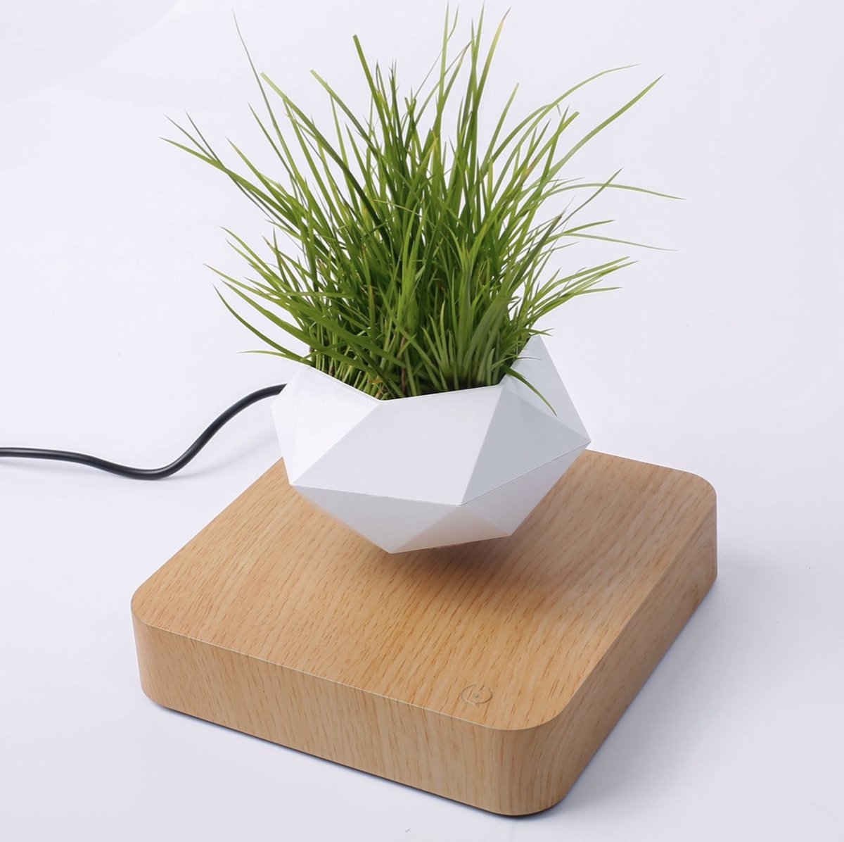 Floating flower pot - Floating plant - Magnetic - Indoor flower pot - Modern decoration - Light brown base