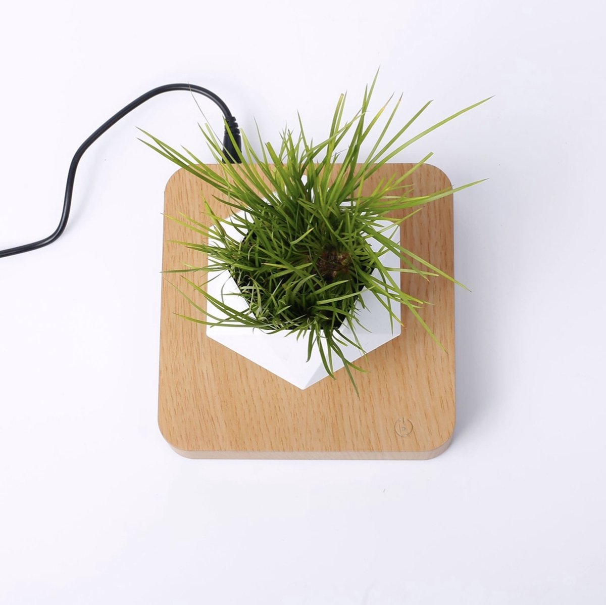 Floating flower pot - Floating plant - Magnetic - Indoor flower pot - Modern decoration - Light brown base