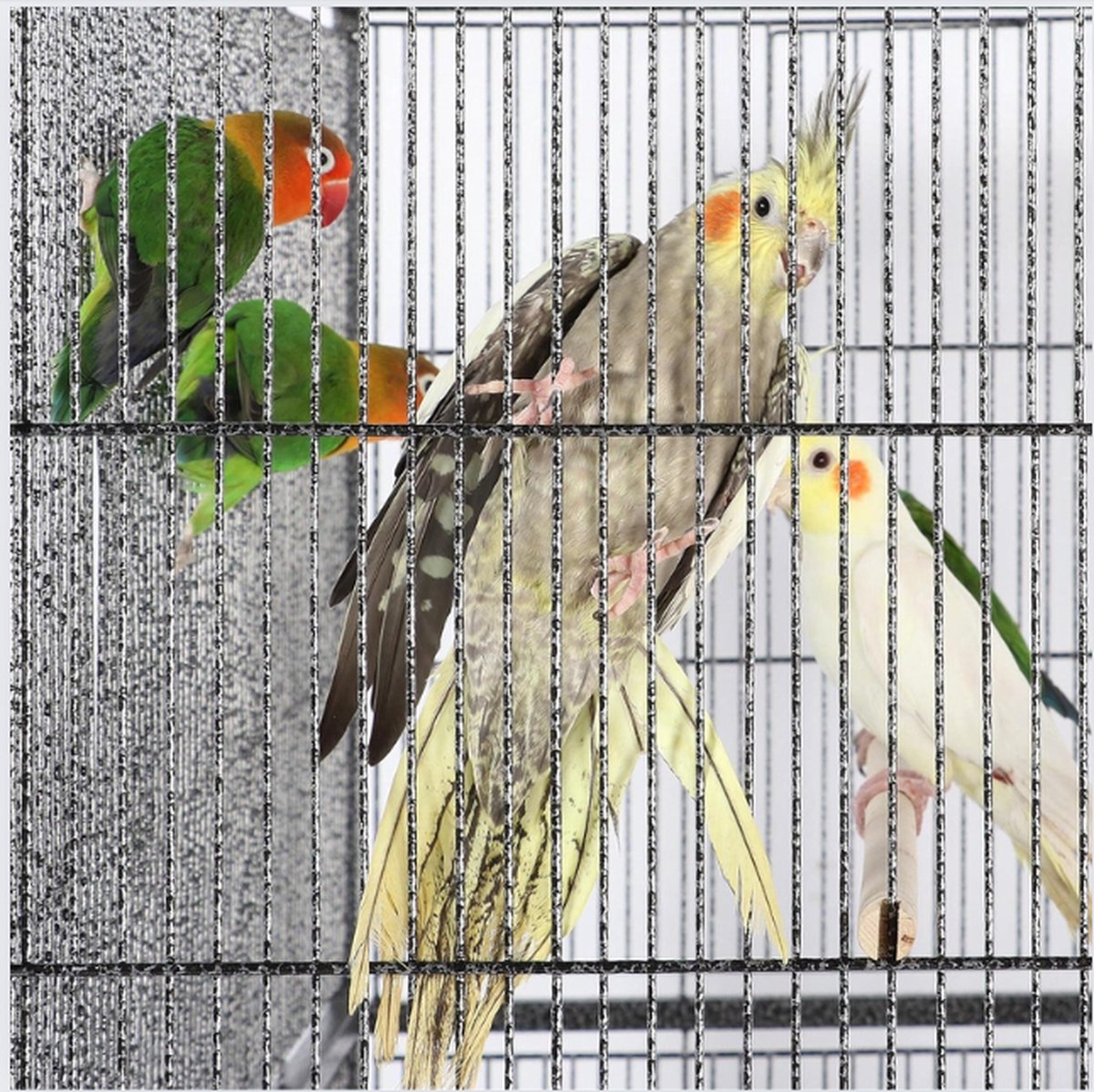 Vogelkooi - Vogelkooien Voor Binnen & Buiten - Volière - Kooi - Kanaries - Parkieten - Vogelhuis
