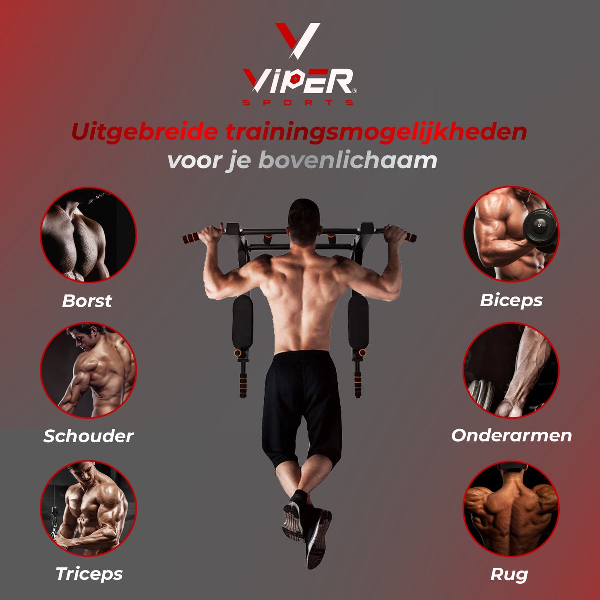 Viper Sports PullPower – Optrekstang – Rug- & Armkussen – Antislip – Tot 120 kg – Metaal – Zwart/Rood