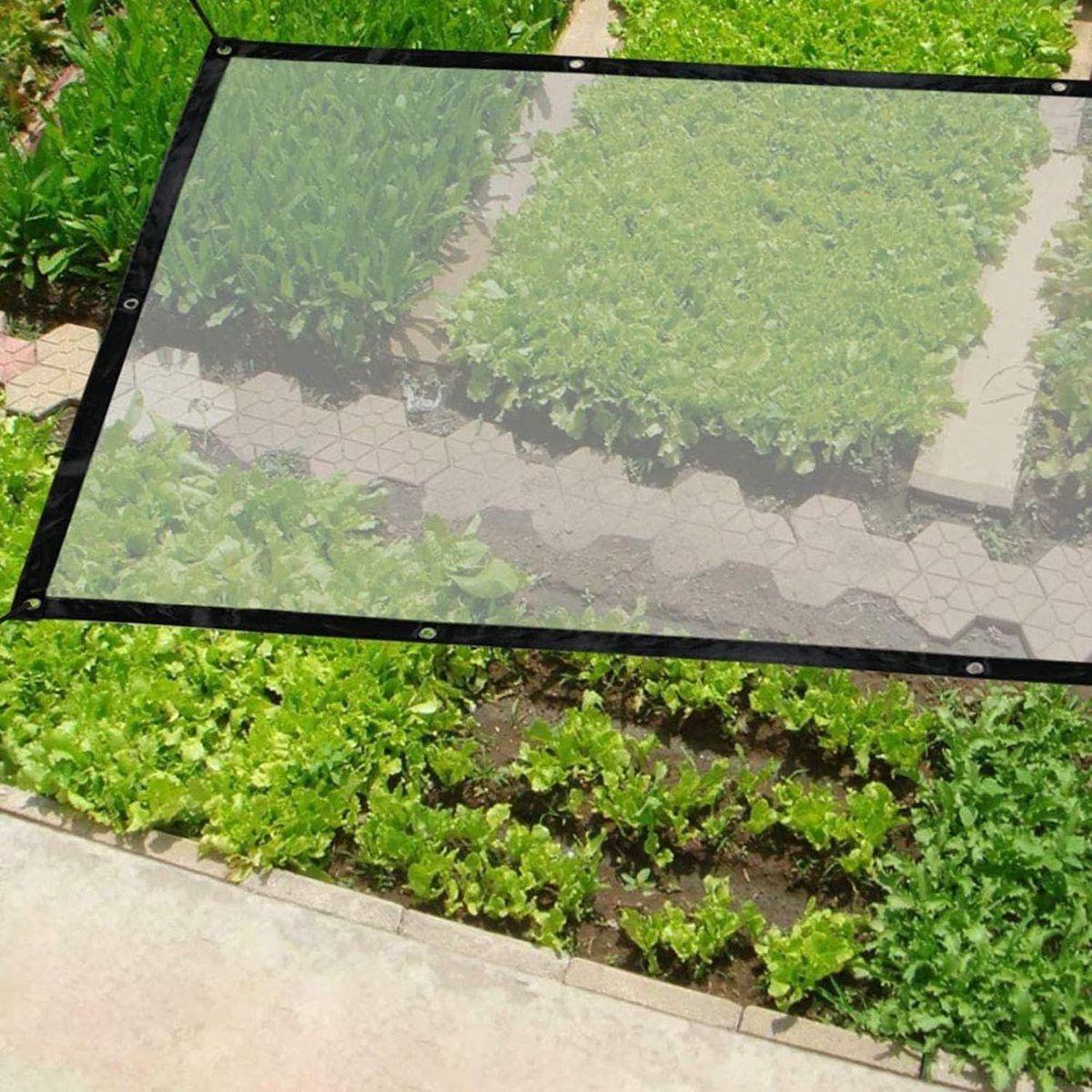 Zeildoek, Tuinscherm, Transparant, met Oogjes, Outdoor PVC, Scheidingsgordijnen, Zeildoeken voor Paviljoens, Pergola's, Balkons, Tuinen, Zijpanelen Etc, Weerbestendig Zeildoek, Maat: 2x5 m