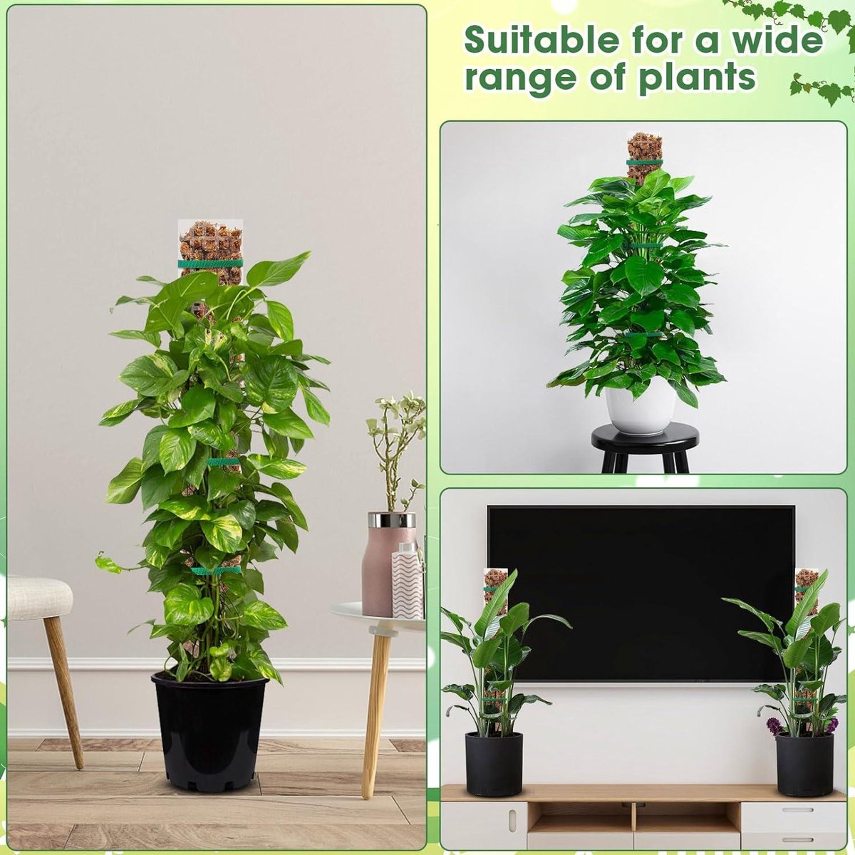 Climbing aid Monstera - 4 pieces - 61 cm - Moss stick plants - Moss sticks set - Houseplant moss pole - Plastic - DIY - White