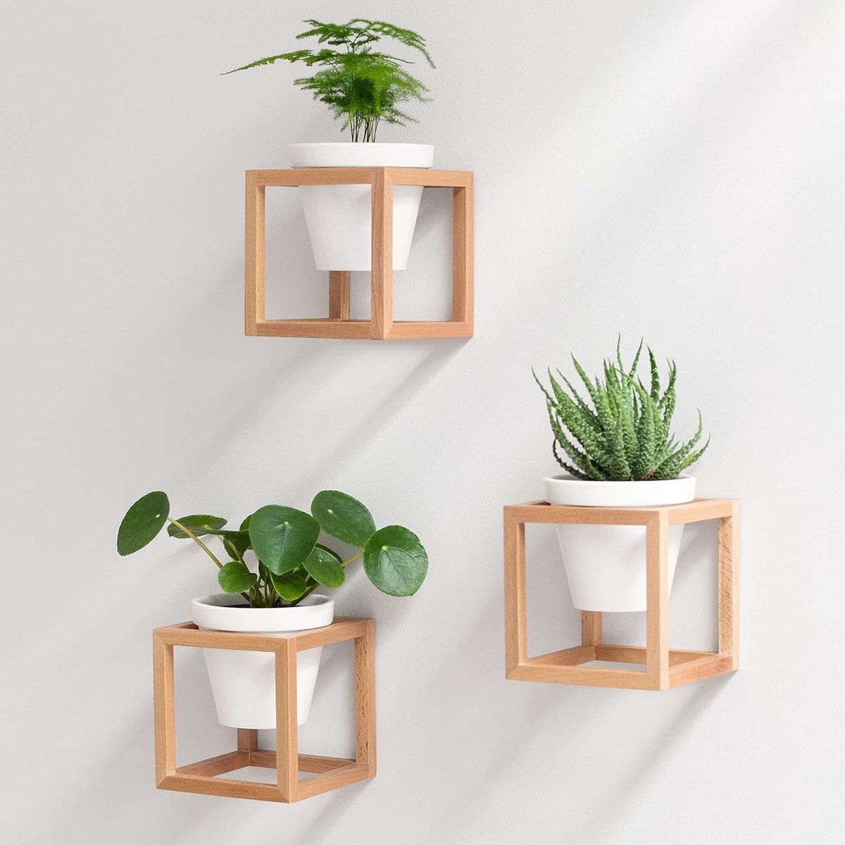 Wall vases - for wallflowers, small wall plants, wall flower - Hanging flower pots in real wooden frame - 3-piece set of ceramic and wood - brown - Modern wall decoration for living room
