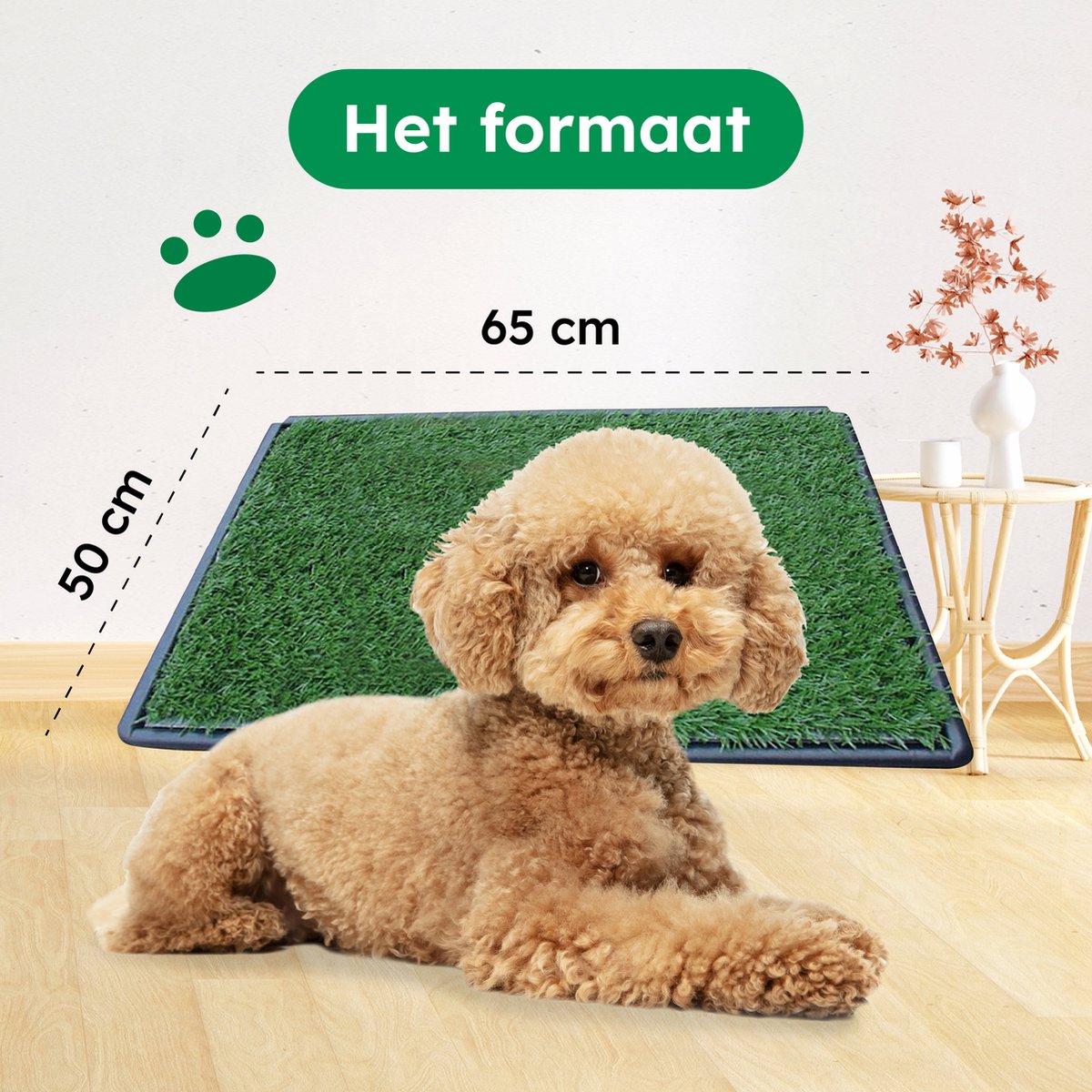 Gtrise Hondentoilet Met 2 Matten - Out/Indoor - Zindelijkheidstraining Ebook - Dieren Wc