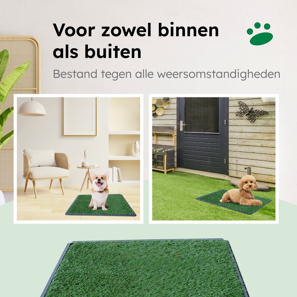 Gtrise Hondentoilet Met 2 Matten - Out/Indoor - Zindelijkheidstraining Ebook - Dieren Wc