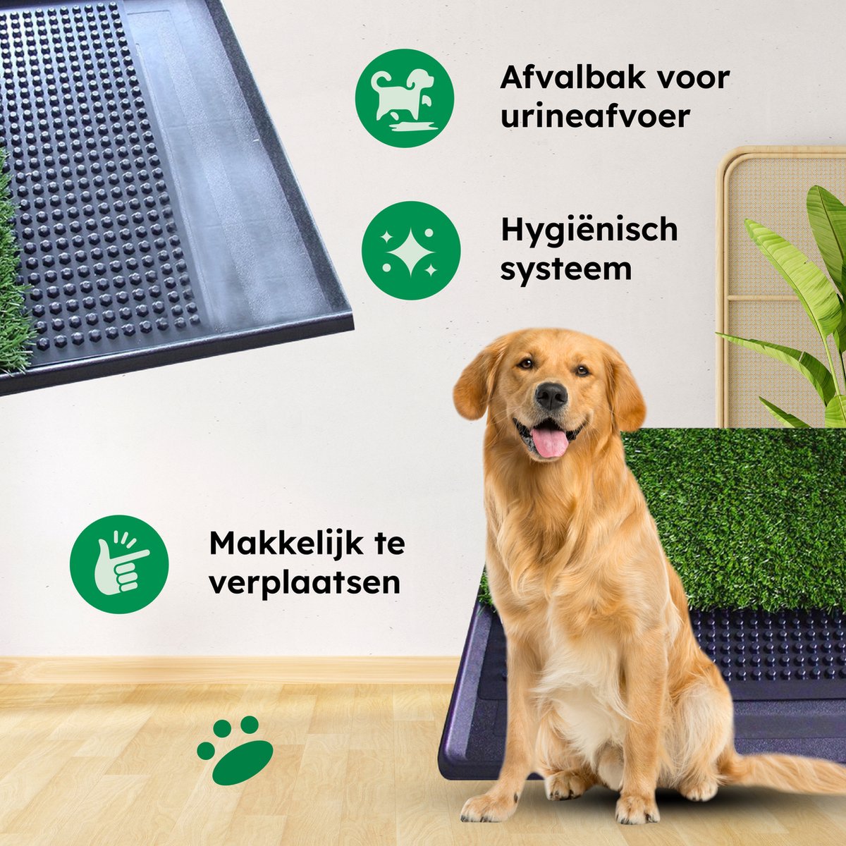 Gtrise Hondentoilet Met 2 Matten - Out/Indoor - Zindelijkheidstraining Ebook - Dieren Wc