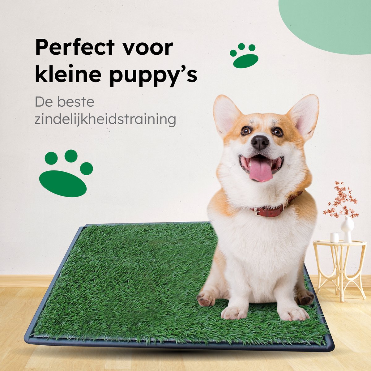 Gtrise Hondentoilet Met 2 Matten - Out/Indoor - Zindelijkheidstraining Ebook - Dieren Wc