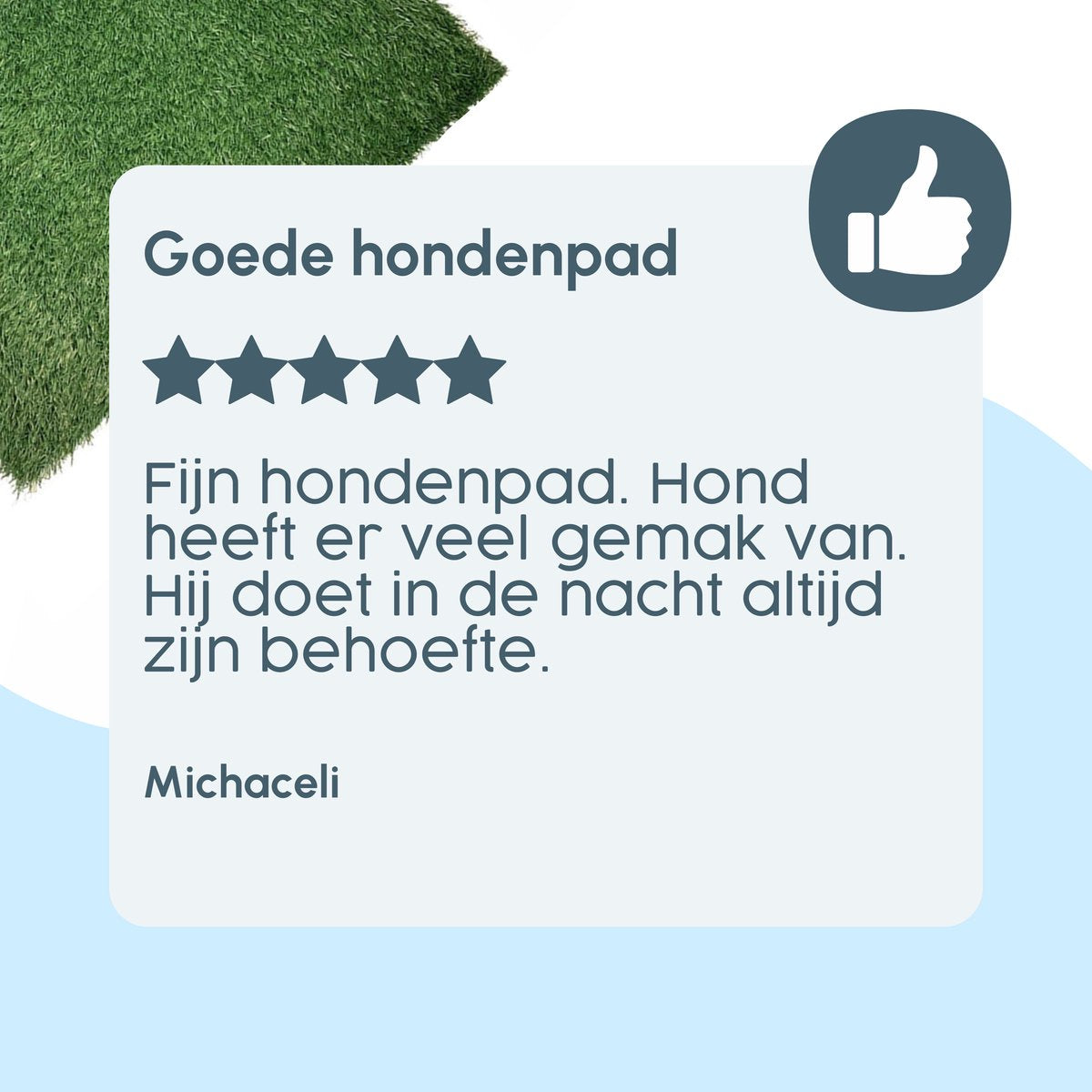 Gtrise Hondentoilet Met 2 Matten - Out/Indoor - Zindelijkheidstraining Ebook - Dieren Wc