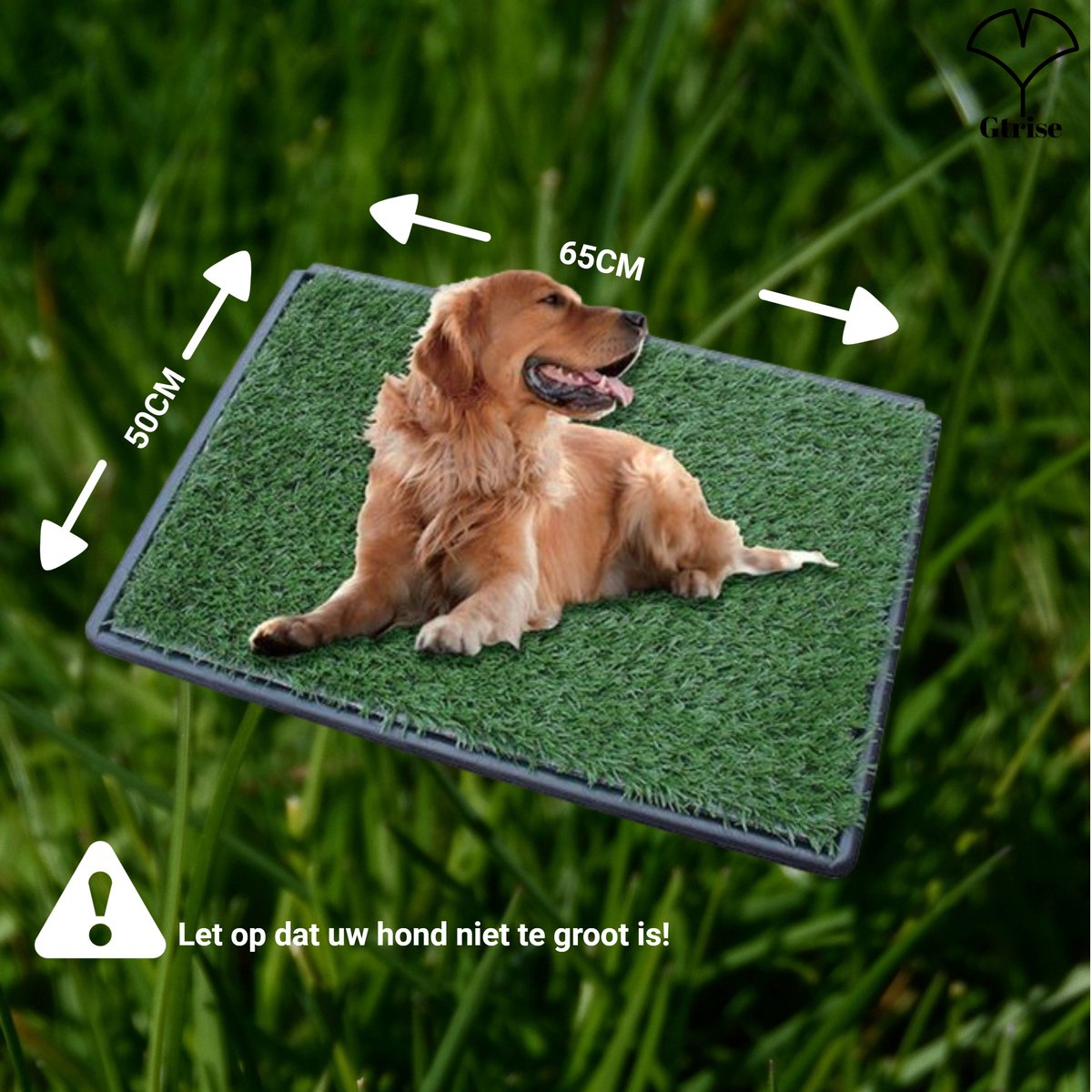 Gtrise Hondentoilet Met 2 Matten - Out/Indoor - Zindelijkheidstraining Ebook - Dieren Wc