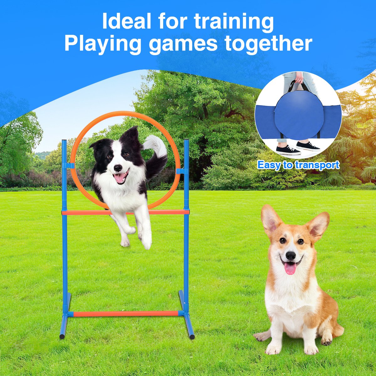 Dog Agility Set - Agility Equipment 16 pieces - Dog Tunnel - Slalom Poles - Hurdle - Jump Ring - Carry Bag