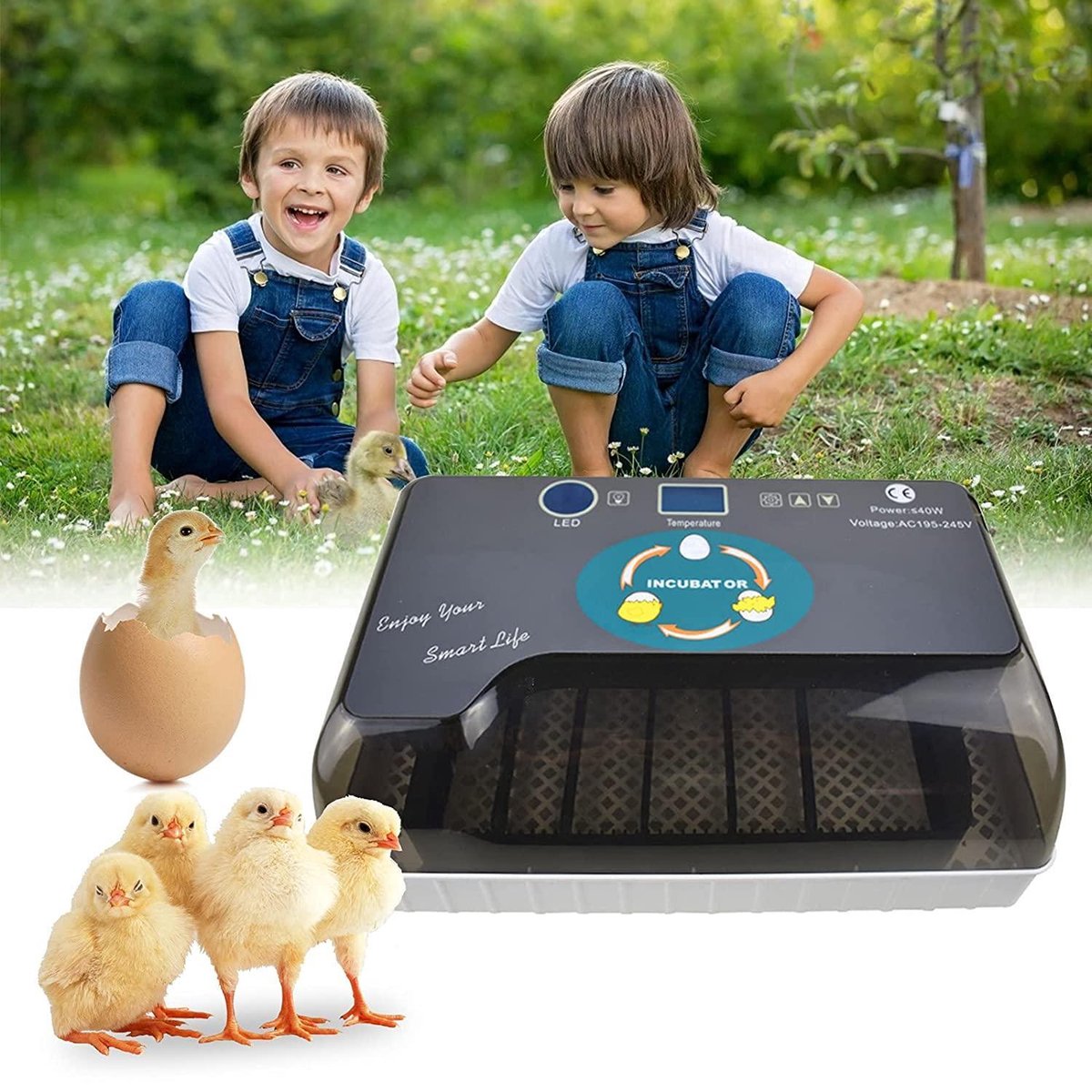 Automatic Egg Incubator with Heating Plate Incubator with Luxury Hygrometer - Up to 60 Eggs