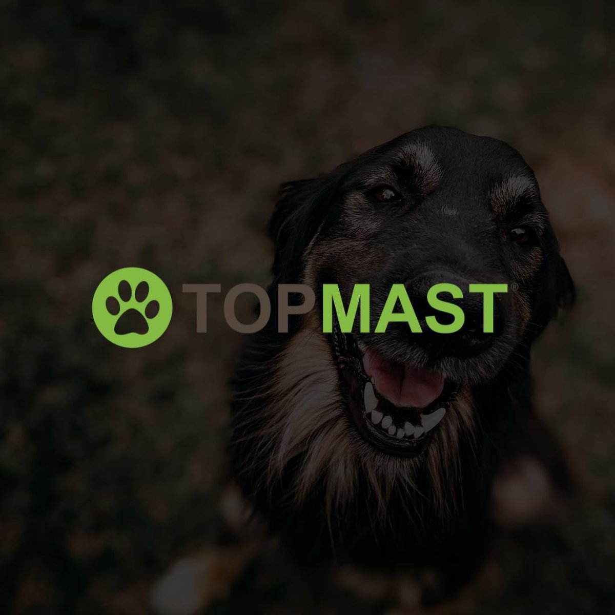Topmast Premium Puppyren - 120 cm Hoog - 640 cm Omtrek - Hondenren - Hondenhok - Zwart