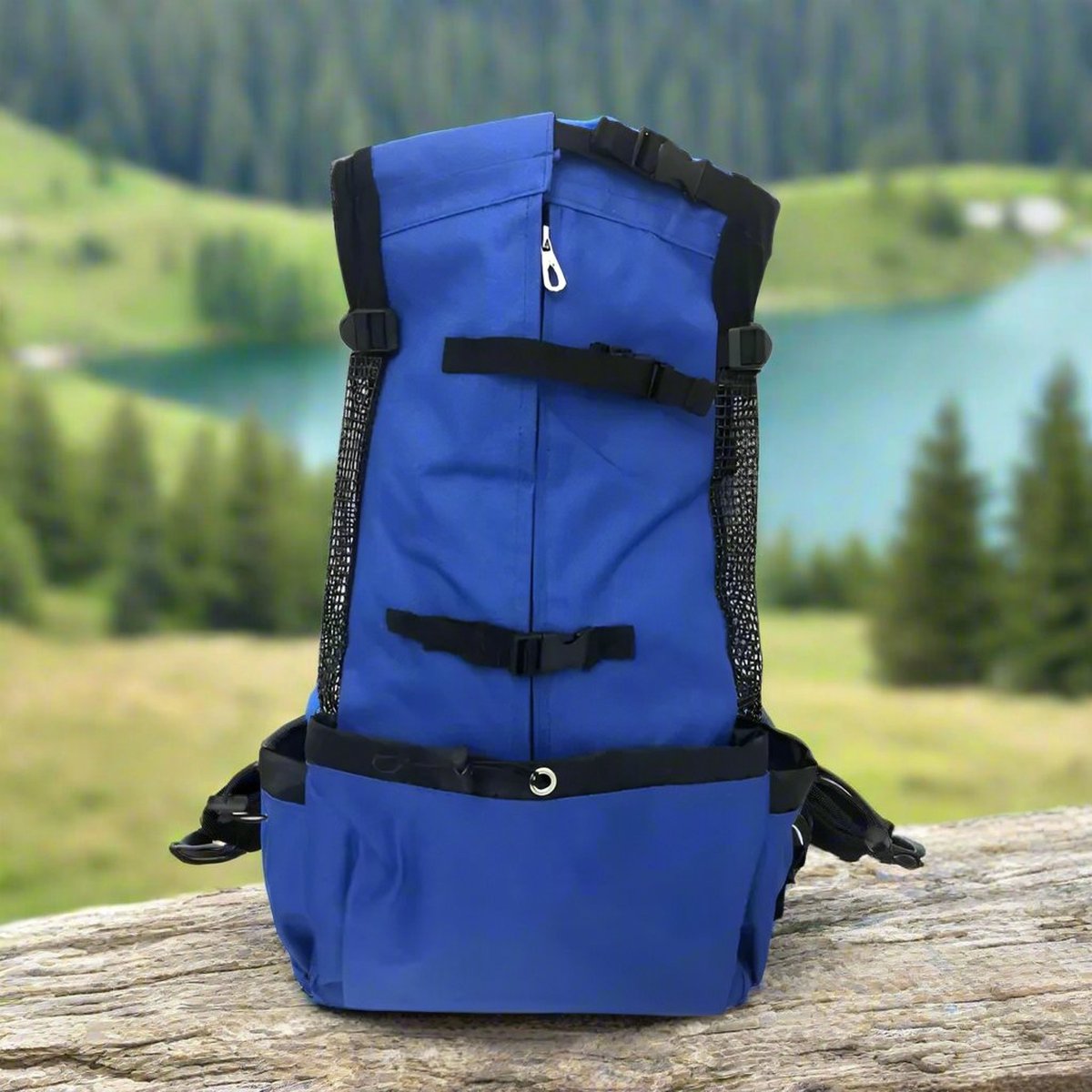 Dog backpack - dog carrier - blue - M