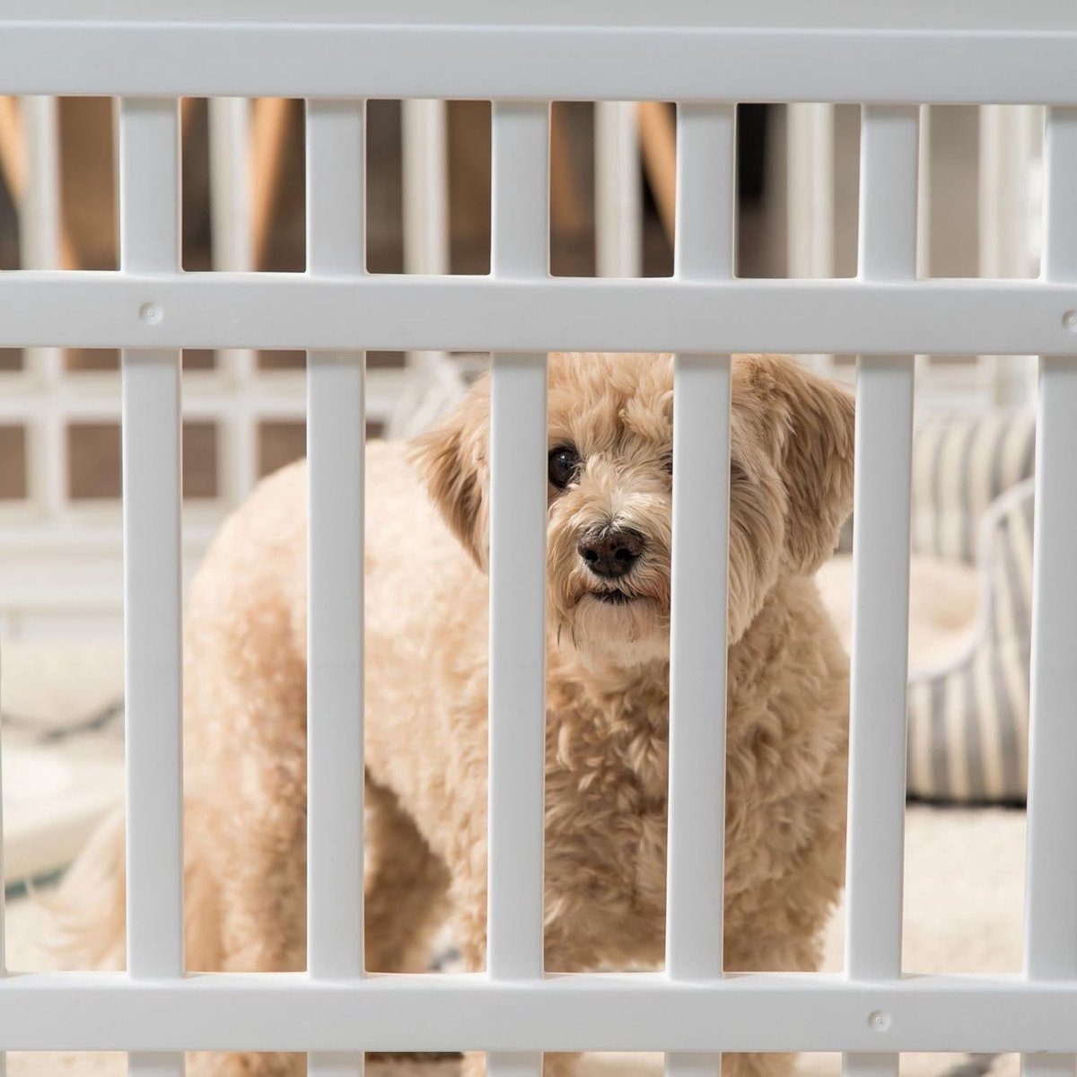 Playpen - Baby Playpen - Baby Playpen - Floor Playpen - Crawling Playpen - Safe Play Environment - Incl. Accessories