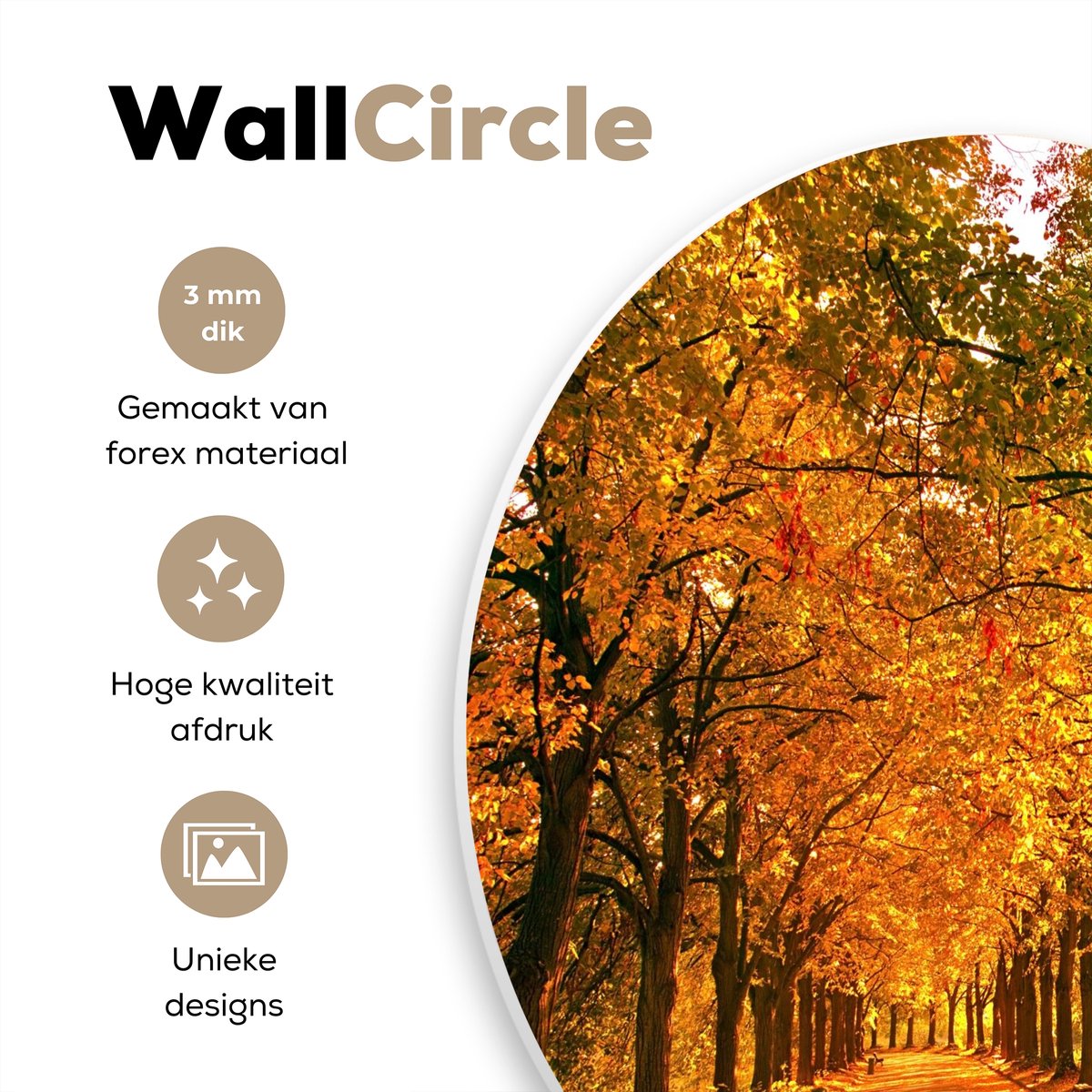 WallCircle® Muurcirkel 60x60 cm - Bos - Herfst - Seizoenen - Landelijk - Gezellig - Muurdecoratie woonkamer - Wanddecoratie slaapkamer - Kamer decoratie accessoires - Ronde schilderijen - Woonaccessoires cirkel binnen