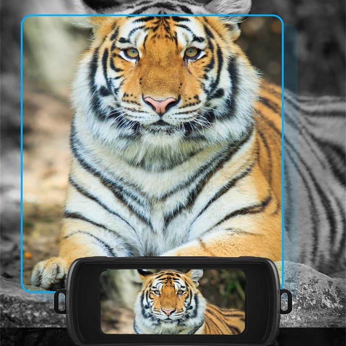 Night Vision - Night Vision with Infrared - Thermal Imaging Night Vision - 5K UHD - Supports WIFI