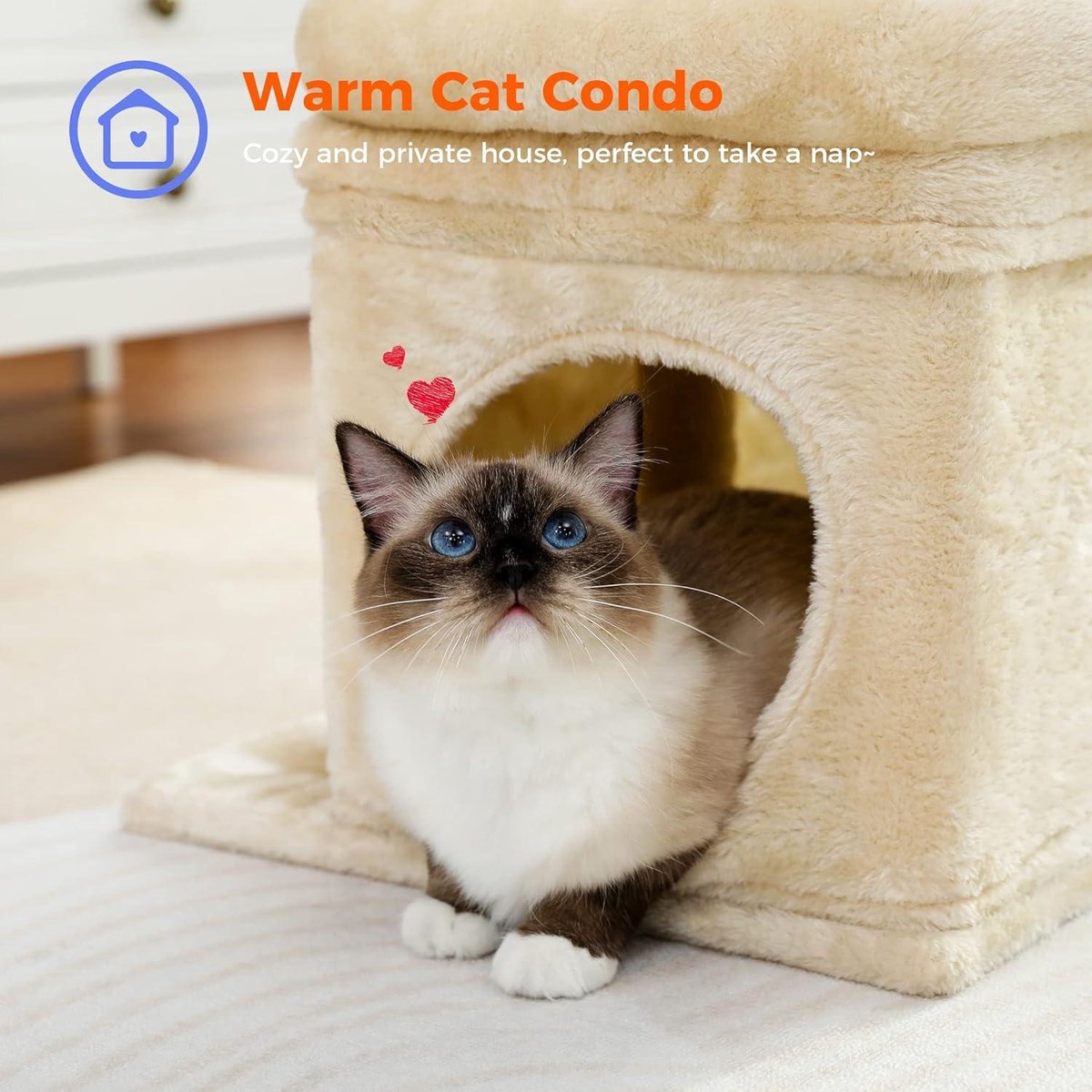 Krabpaal voor kleine katten - kattentoren met meerdere niveaus - sisal bedekt - gezellig kattenhuis - grote kattenzitplaats - binnenkat