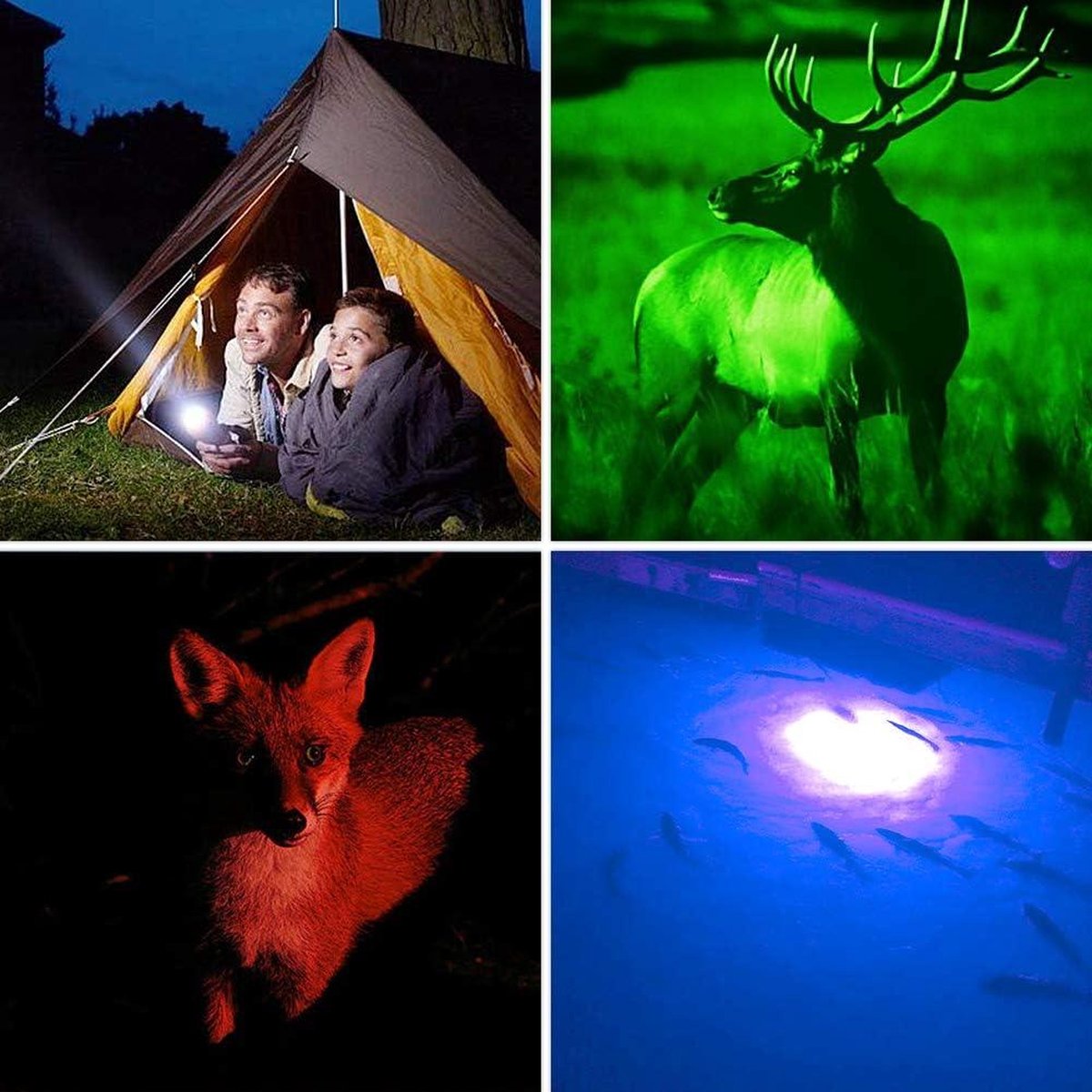 Superbright 4-in-1 LED flashlight with 900 lumens red, green, and blue light - multi-functional and waterproof with adjustable focus torch