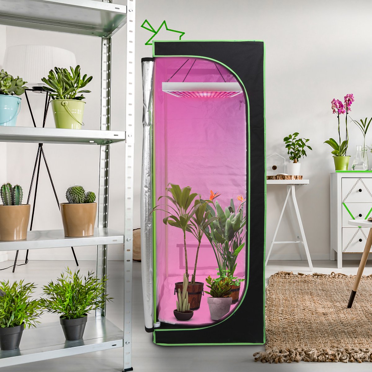 Indoor kweekkast - 60 x 60 x 180 cm - Indoor Growtent - Kweekbox voor planten - planten kweken - Zwart&Groen - 2-in-1 kweekkast - Planten Dark Room - Kas - Waterdicht