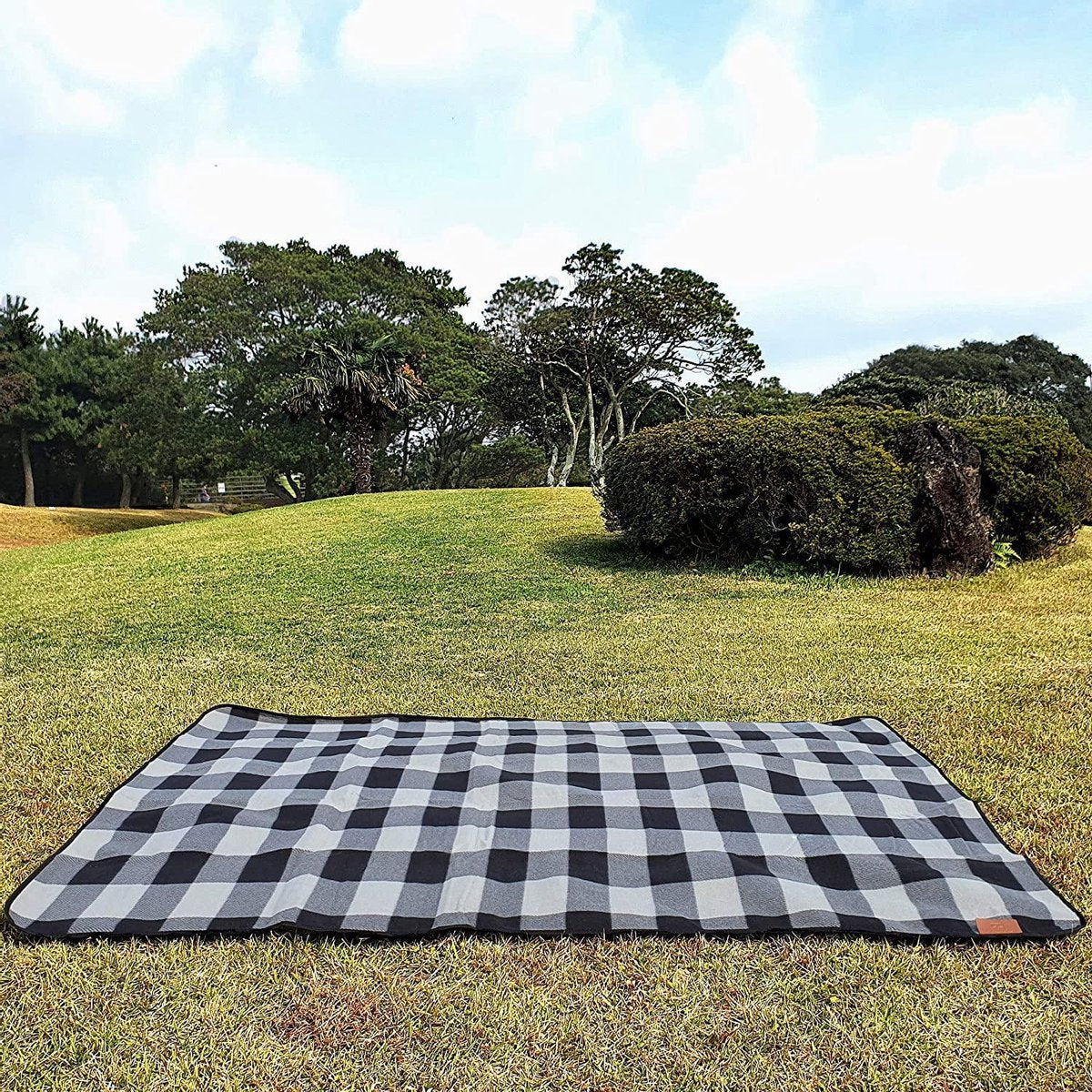 Sam's Home XXL Picknickkleed - Waterdicht - 200 x 200 cm - Lederen houder - Buitenkleed