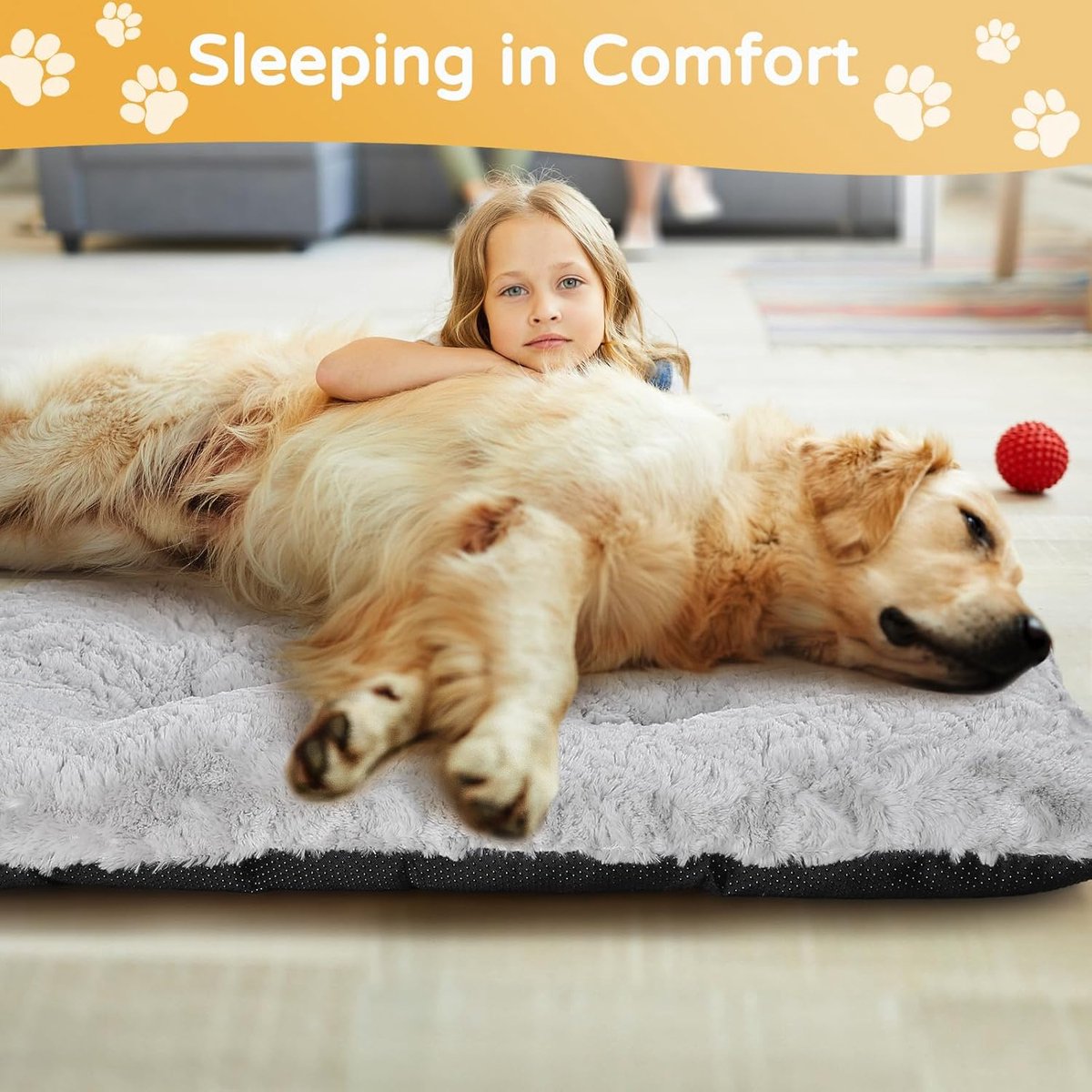 Comfortabel Hondenbed, 60 x 45 cm, Wasbaar Kattenbed, Zacht, Hondenkussen, Hondenmat in Grijs met Antislip Onderkant