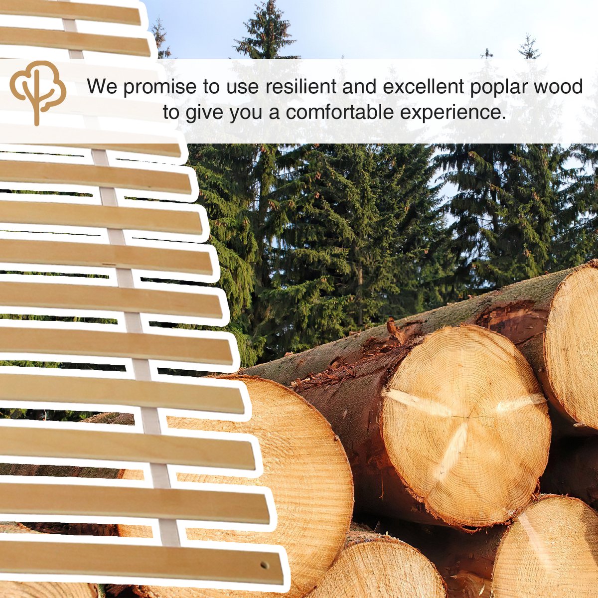 Lattenbodem 90 x 200 cm 2 stuks - Bedbodem - 28 latten - Vlak - Max. 150kg - Hout - Rol lattenbodem