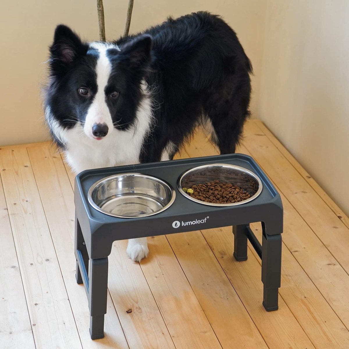 Verhoogde voerbak voor honden met vier verstelbare hoogtes en twee roestvrijstalen bakken