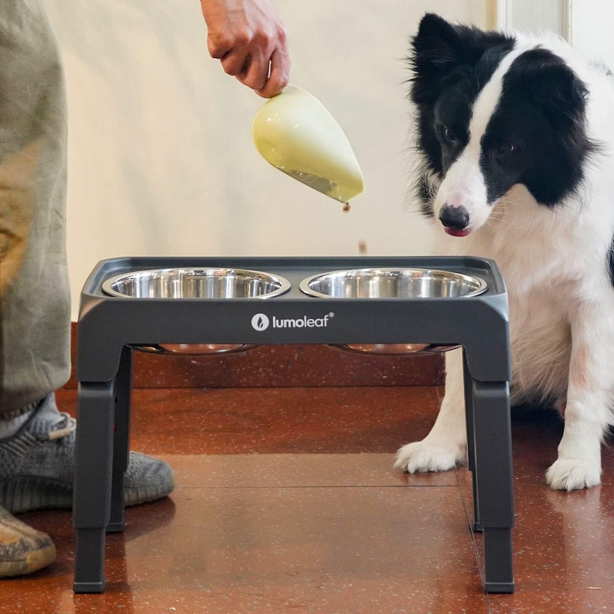 Verhoogde voerbak voor honden met vier verstelbare hoogtes en twee roestvrijstalen bakken