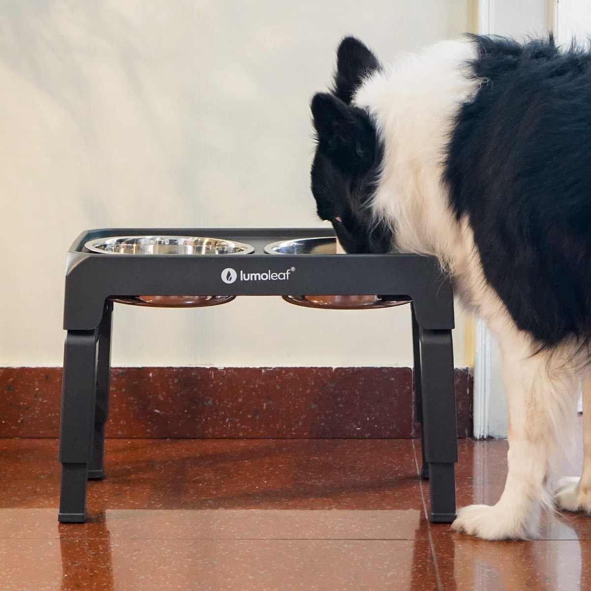 Verhoogde voerbak voor honden met vier verstelbare hoogtes en twee roestvrijstalen bakken