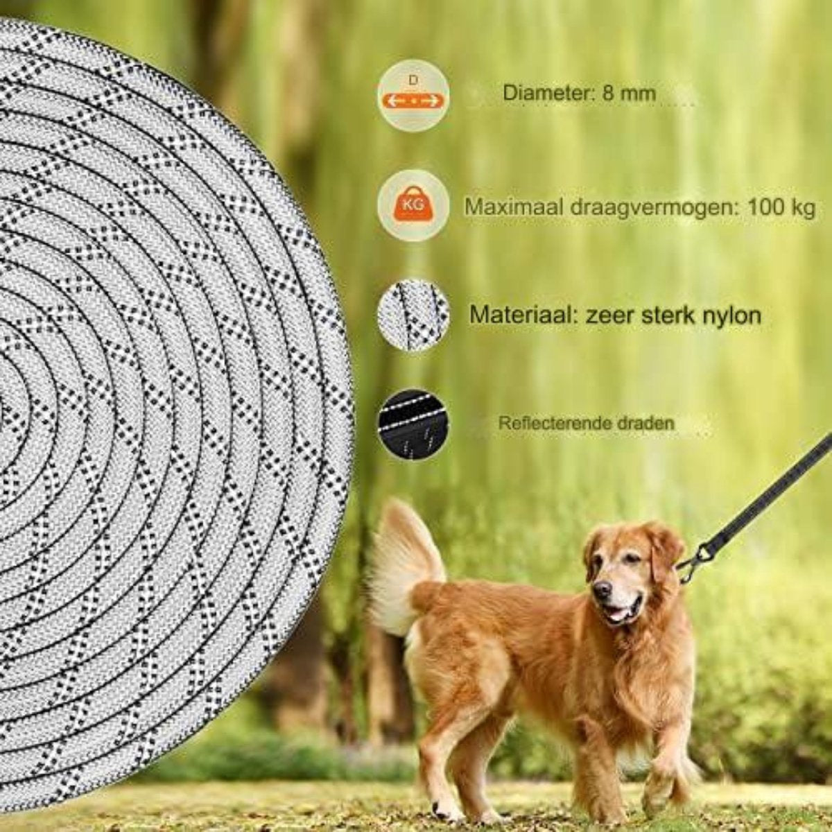 Hondenriem 10 Meter - Hondenlijn 10 Meter met gevoerde handgreep, draaibare afsluitbare haak, sterke hondenriem voor middelgrote en grote honden - 10M × 8MM/zilver-grijs