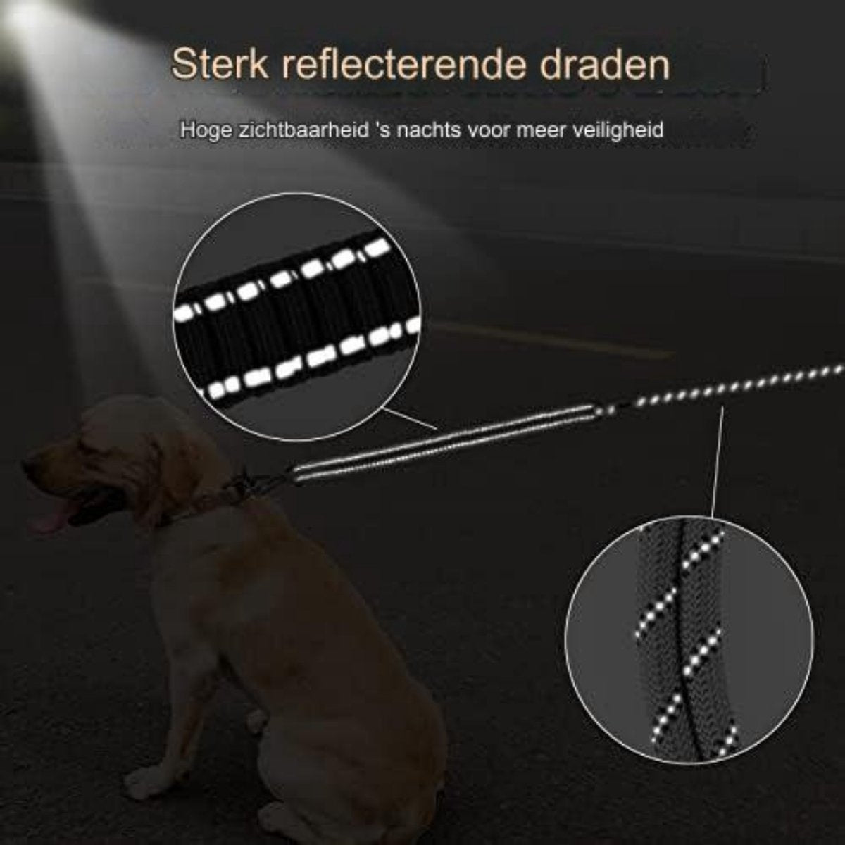 Hondenriem 10 Meter - Hondenlijn 10 Meter met gevoerde handgreep, draaibare afsluitbare haak, sterke hondenriem voor middelgrote en grote honden - 10M × 8MM/zilver-grijs