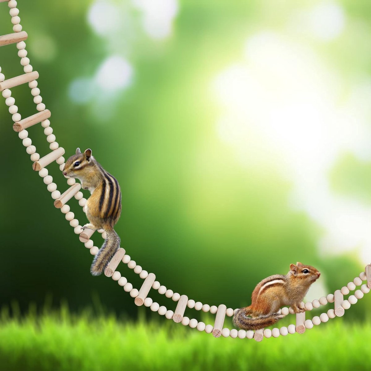 Vogelladderbrugspeelgoed, houten klimspeelgoed voor kleine dieren, vogelkooiaccessoires voor vogels papegaaien kaketoes pioenrozen Afrikaanse grijze ara's parkieten hamsters ratten (28 treden ladder) (157 cm)