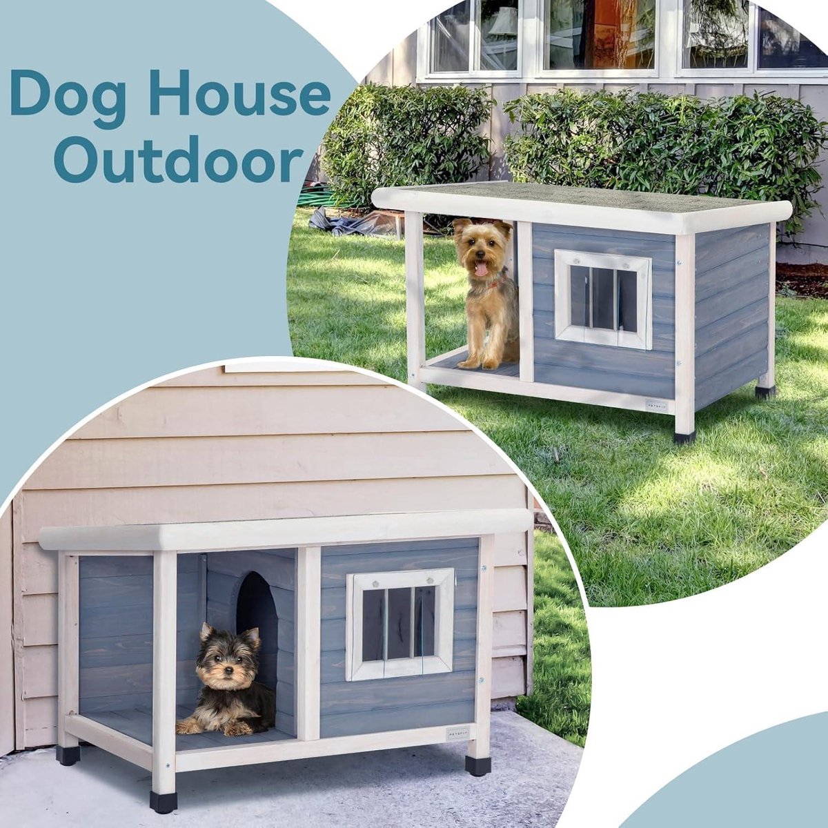 Wooden Cat House Outdoor Cat Kennels - One Room and Lounge - Asphalt Roof - Outdoor Dog Houses