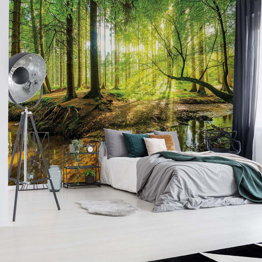 Photo wallpaper - Sunny Forest with a Stream - Trees - Nature - Non-woven - 368 x 254 cm (4 wallpaper sheets)