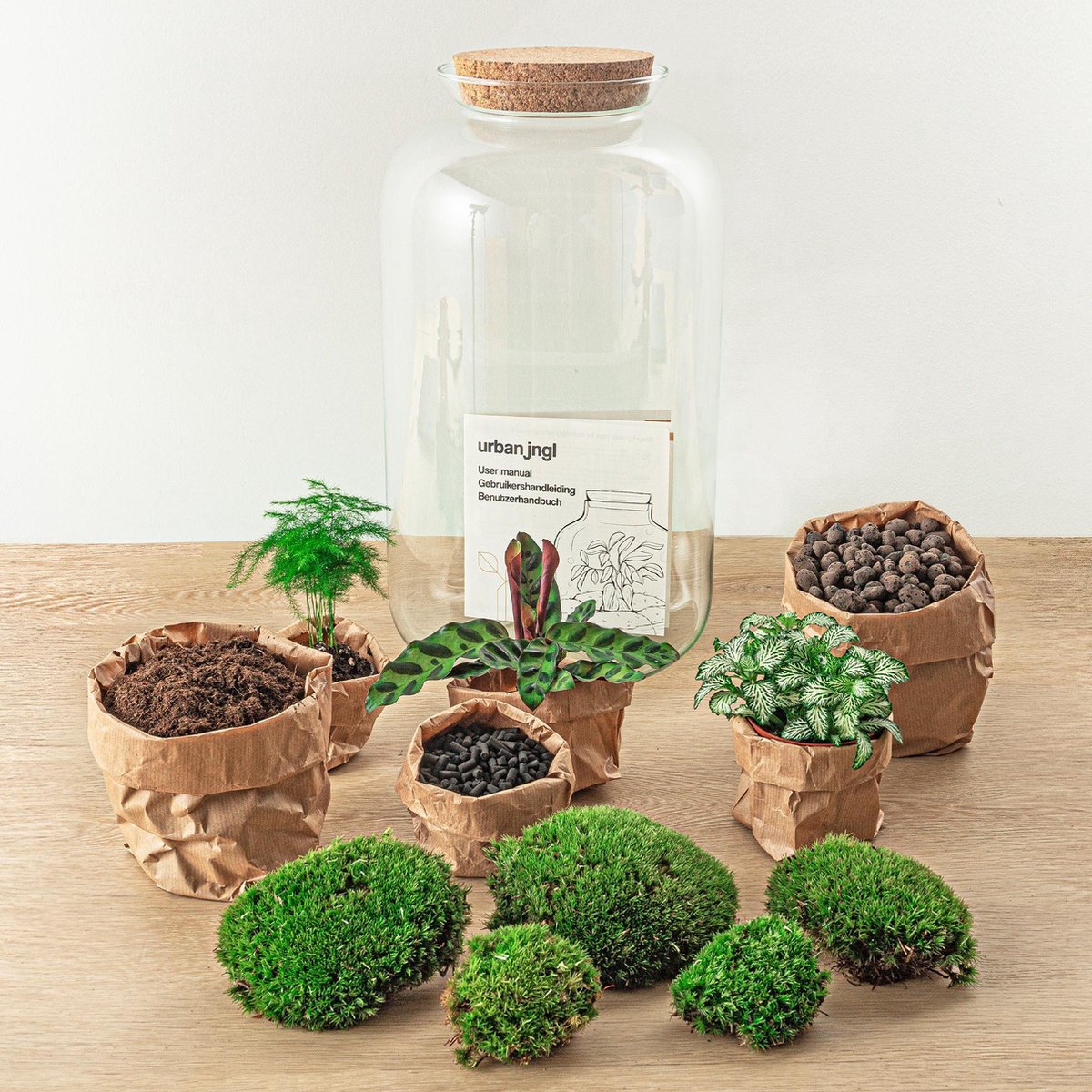 DIY terrarium - Botanisch Sven XL - ↑ 43 cm