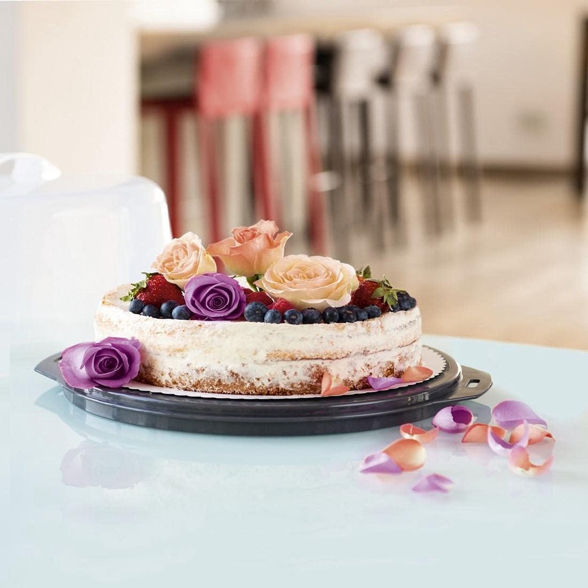 caketransportdoos rond met deksel (bakvorm Ø 28,5 cm, binnenhoogte 8 cm, cakedoos met verdeelhulp, stolp en serveervakken, party- en taartbutler) antraciet cakeschaal