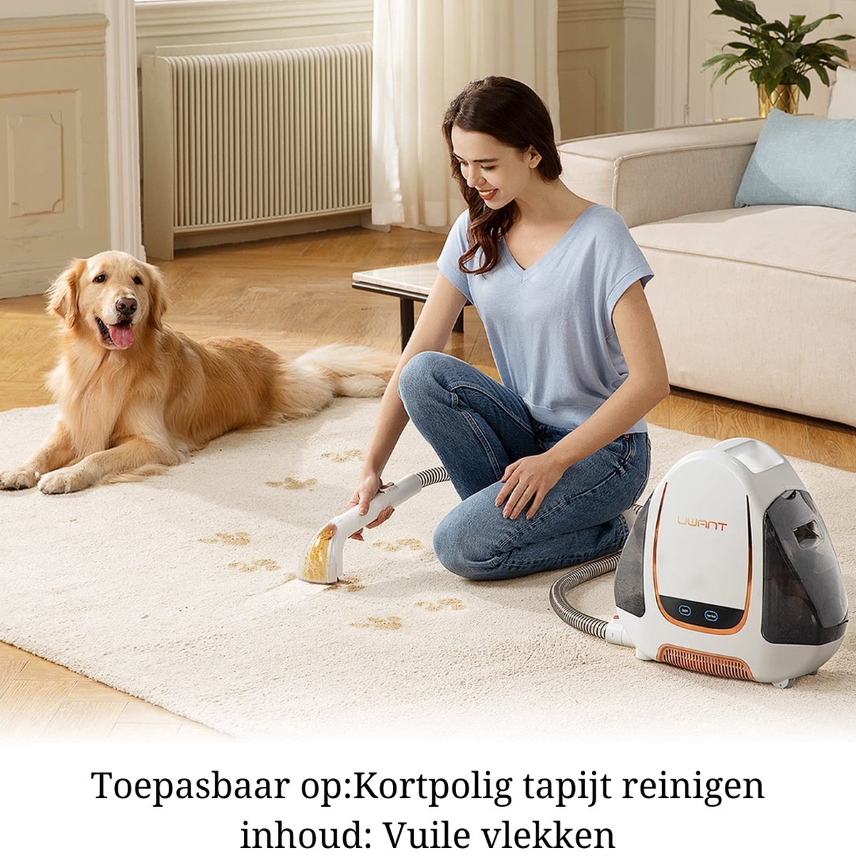 Vlekkenreiniger - Vlekken Verwijderaar - Nat- en Droogzuiger - Reinigen - Tapijtreiniger - Banken - Matten - Kussens - Auto's - Nat- en Droogzuiger - Sterke Zuigkracht - Water - Wassen - Ontsmetten - 12000 Pa - 70 dB