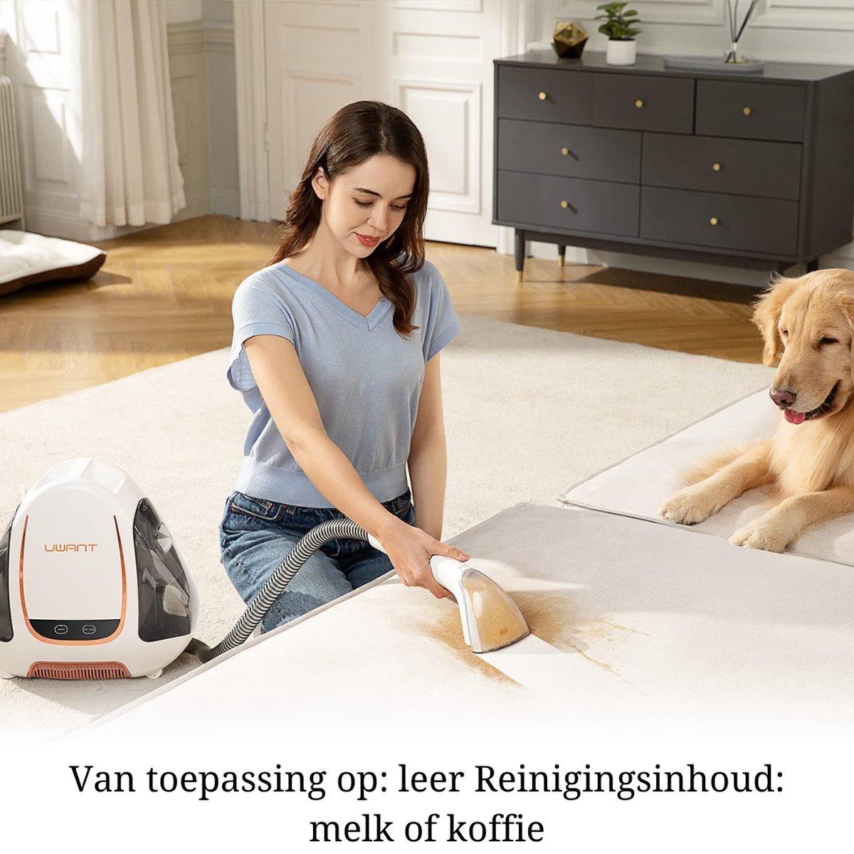 Vlekkenreiniger - Vlekken Verwijderaar - Nat- en Droogzuiger - Reinigen - Tapijtreiniger - Banken - Matten - Kussens - Auto's - Nat- en Droogzuiger - Sterke Zuigkracht - Water - Wassen - Ontsmetten - 12000 Pa - 70 dB