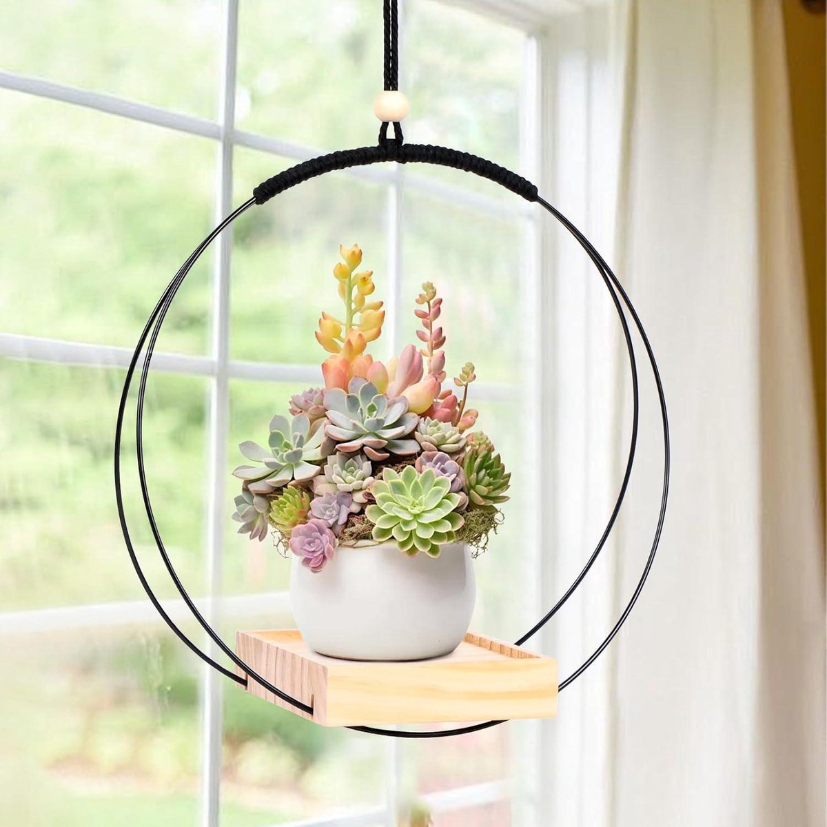 Hanging Planters - 2 Sumotia Planters with Wooden Base, Metal Ring and Hanging Loop - Round Black Planters for Indoors, Walls and Ceilings