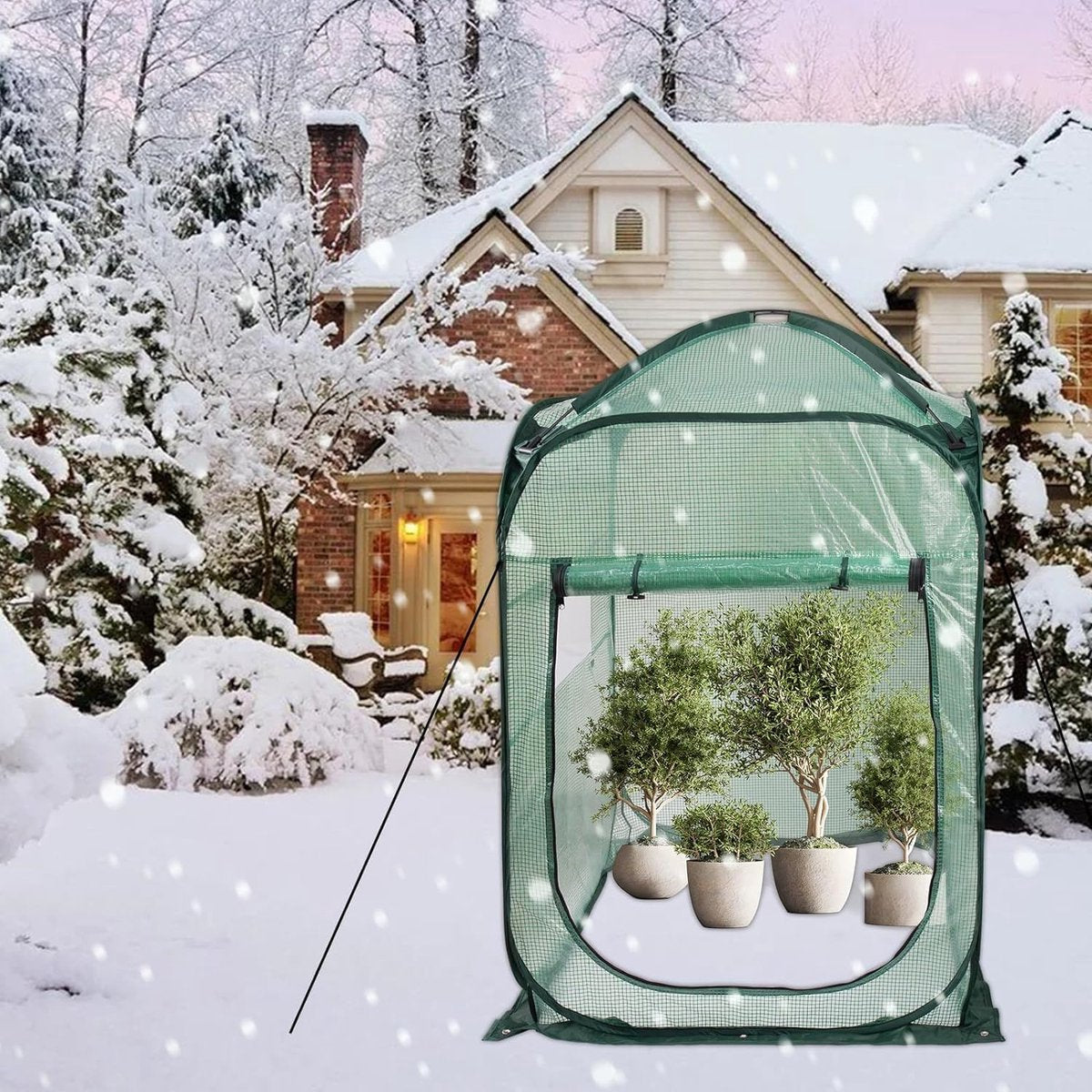 Small greenhouse for plants, pop-up tomato greenhouse with roll-up cover, mini-greenhouse for indoor and outdoor use, 94 x 94 x 122 cm