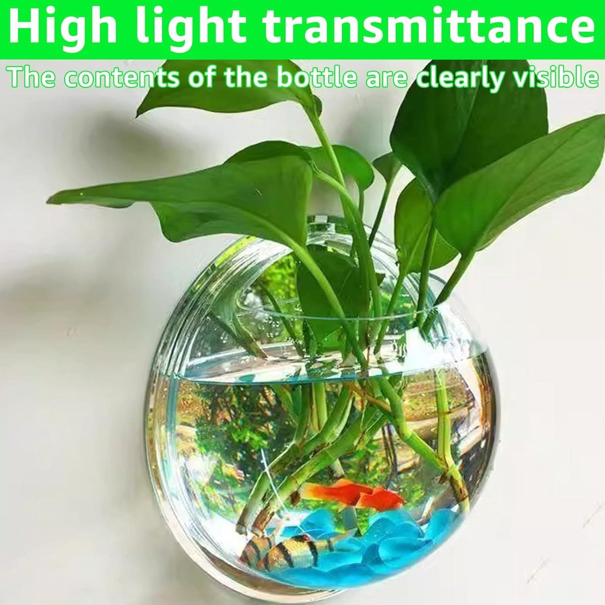 Hangende bloempotten - Set van 4 stuks - Glazen flessentuin terrarium voor binnenplanten - Bubble wandvaas 10 cm - Geschikt voor vetplanten, bloemen en aquaria Bloempot