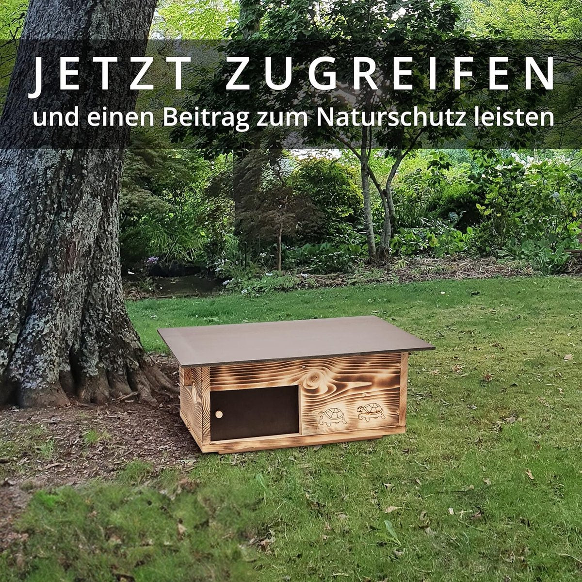 Turtle Enclosure - Turtle Terrarium - Turtle Aquarium - Turtle - Turtle Tank