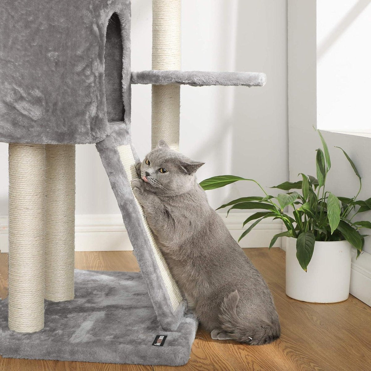 Krabschaal plafond hoog 24-26 m lichtgrijs PCT110W01 voor FEANDREA kat - HTML content nodig Krabschaal