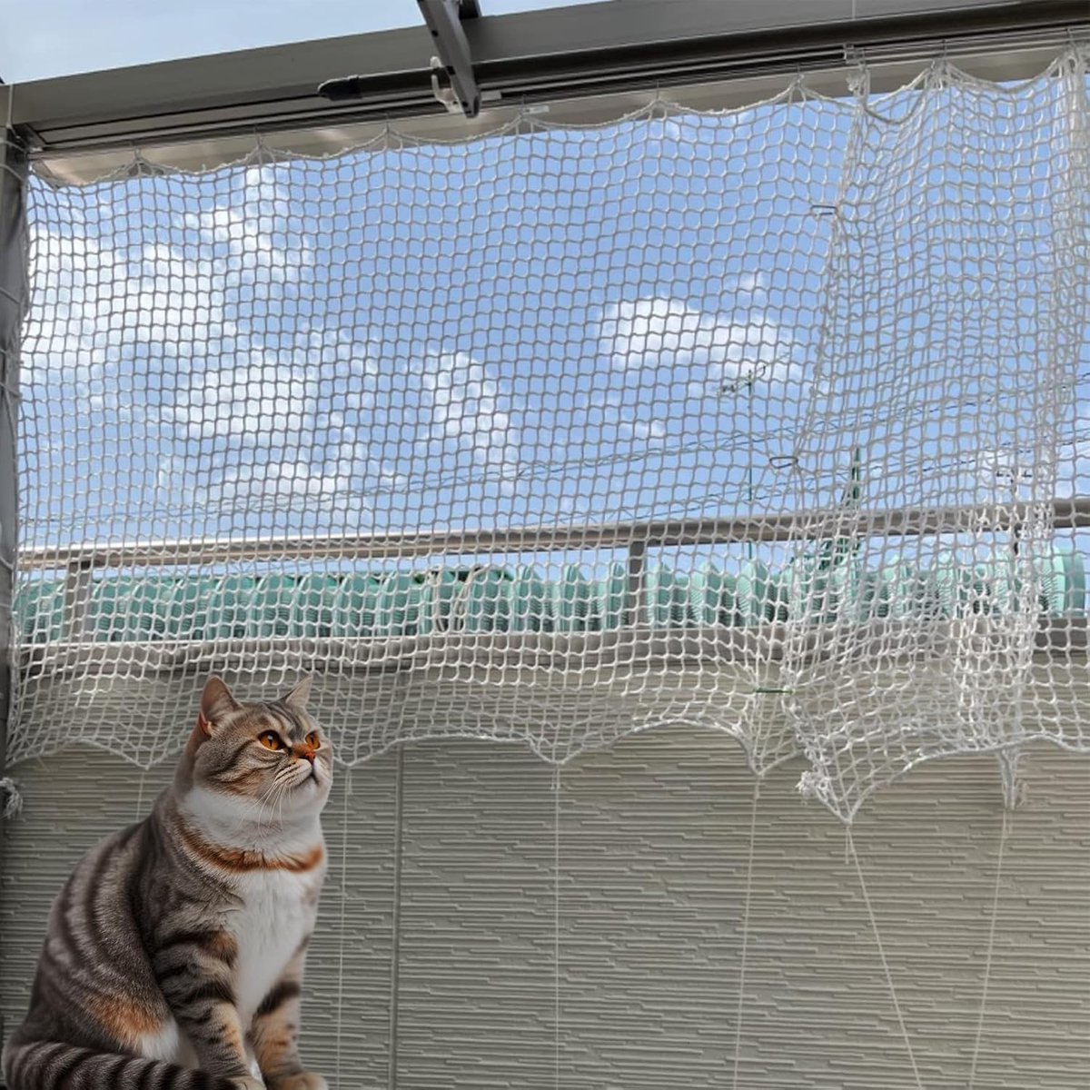Kattennet voor balkon met valbeveiliging, veiligheidsnet, raambescherming en veelzijdig klimnet