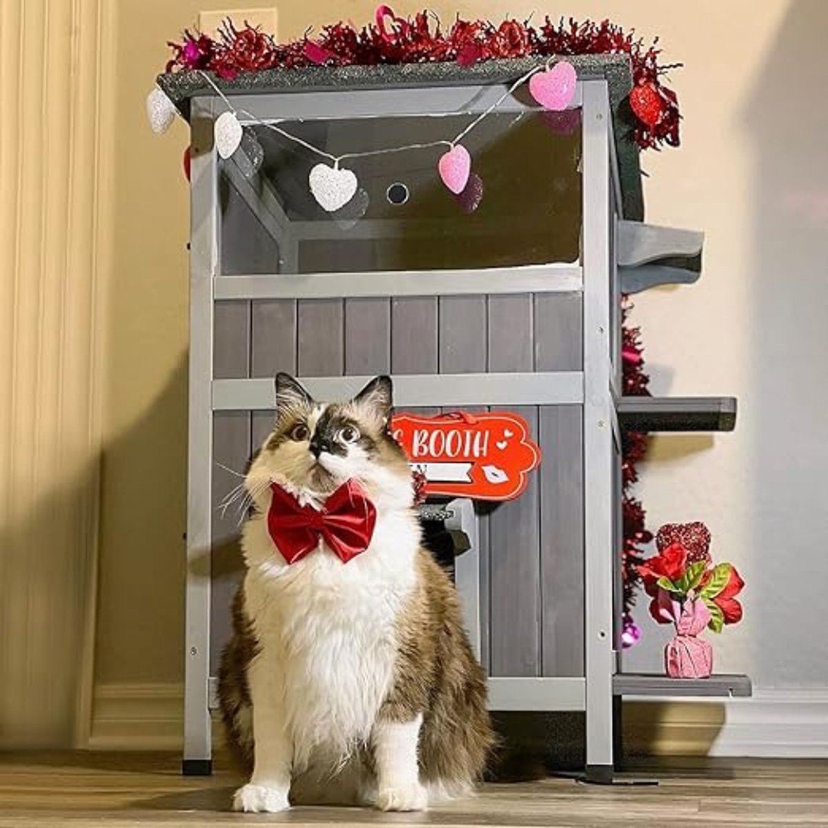 Outdoor Cat House - Litter Box Enclosure - Cat Cabinet for Indoor Use - Cat Kennel - Rabbit Hutch - 2-Story - 57 x 55 x 86 cm - Pine Wood - Grey